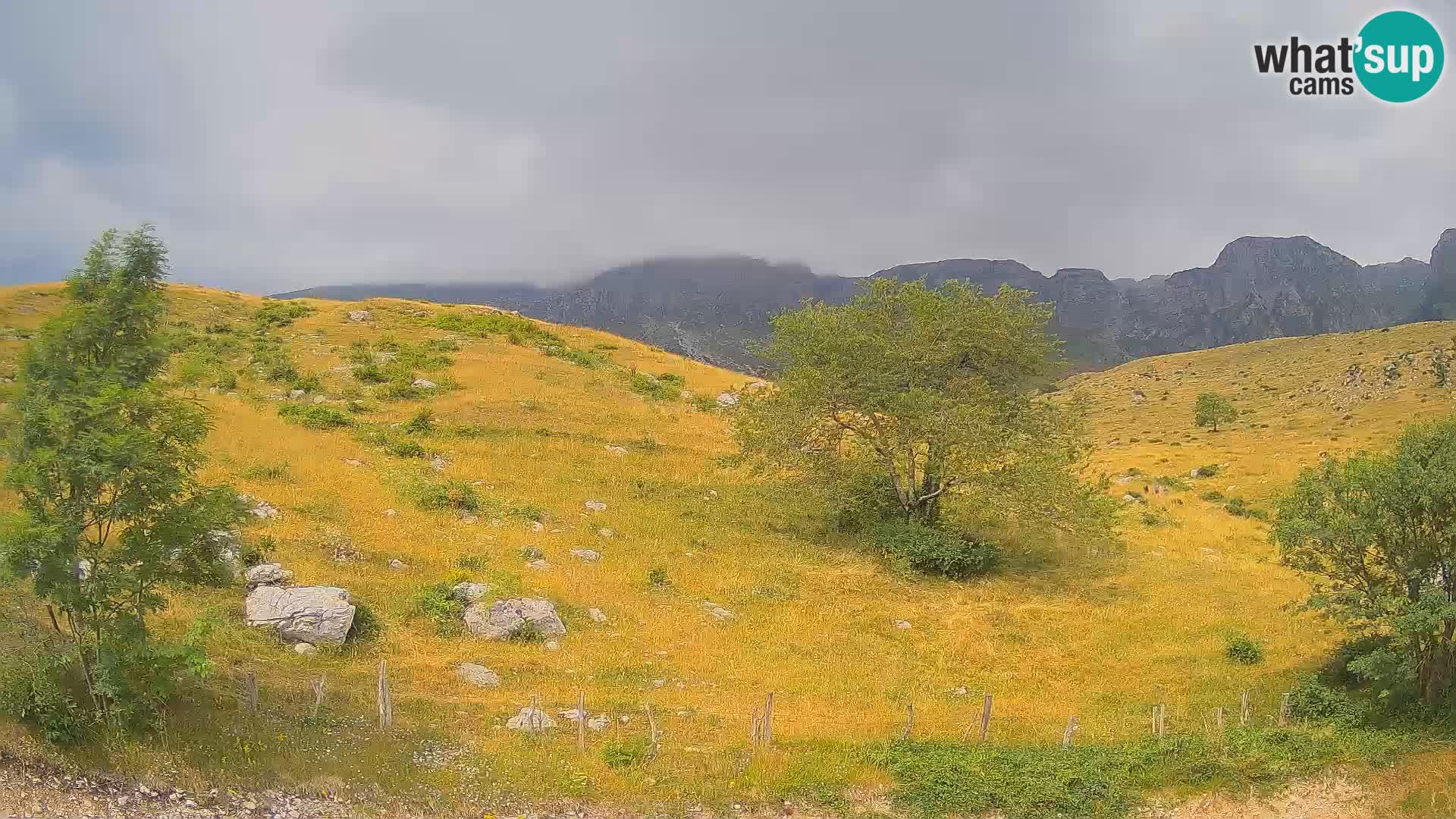 Cámara en Vivo de Planina Kuhinja – KRN – Kobarid – Eslovenia