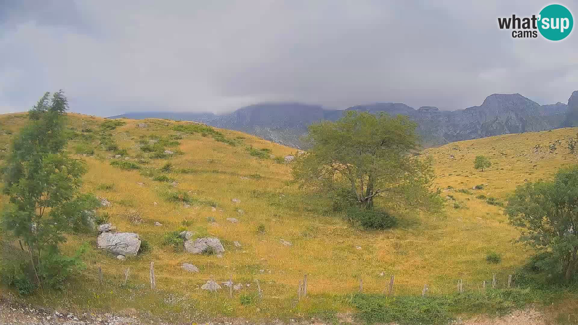 Cámara en Vivo de Planina Kuhinja – KRN – Kobarid – Eslovenia