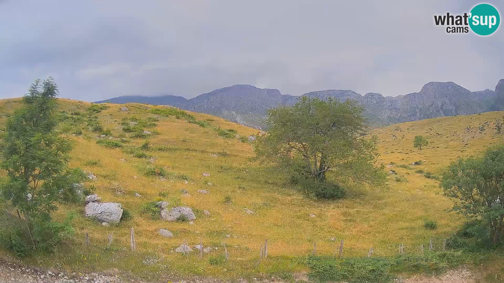 Cámara en Vivo de Planina Kuhinja – KRN – Kobarid – Eslovenia