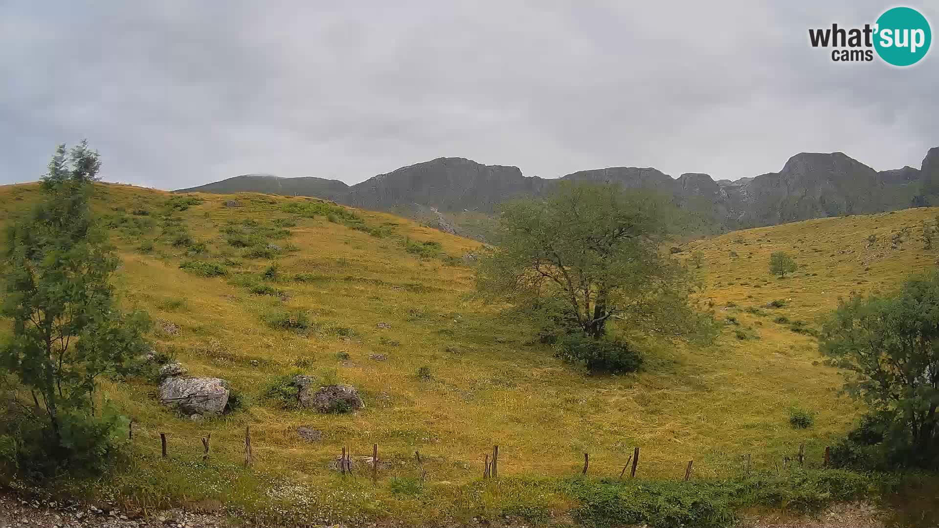 Webcam Krn – Planina Kuhinja ( Plateau Kuhinja ) – Kobarid – Slovenia