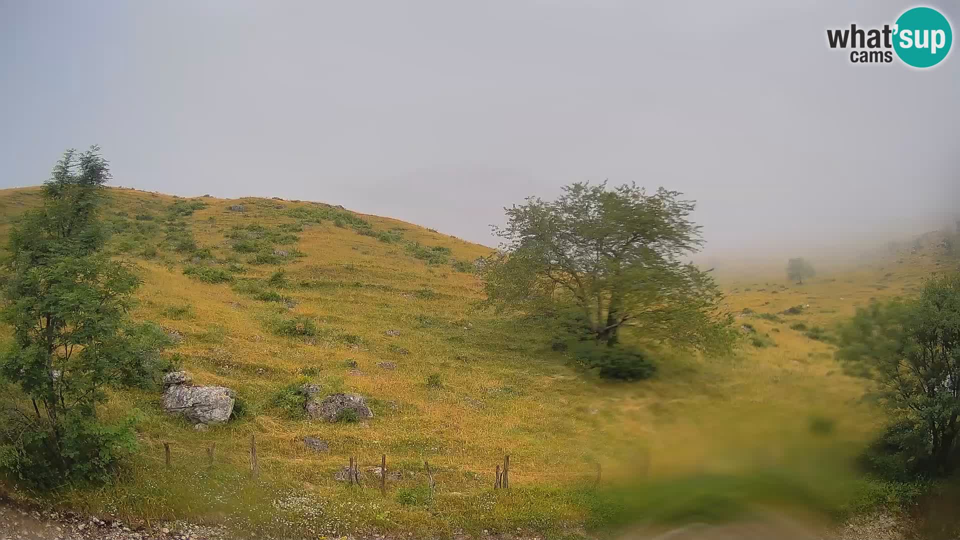 Live cam Planina Kuhinja – Monte Nero ( Krn ) – Caporetto – Slovenia