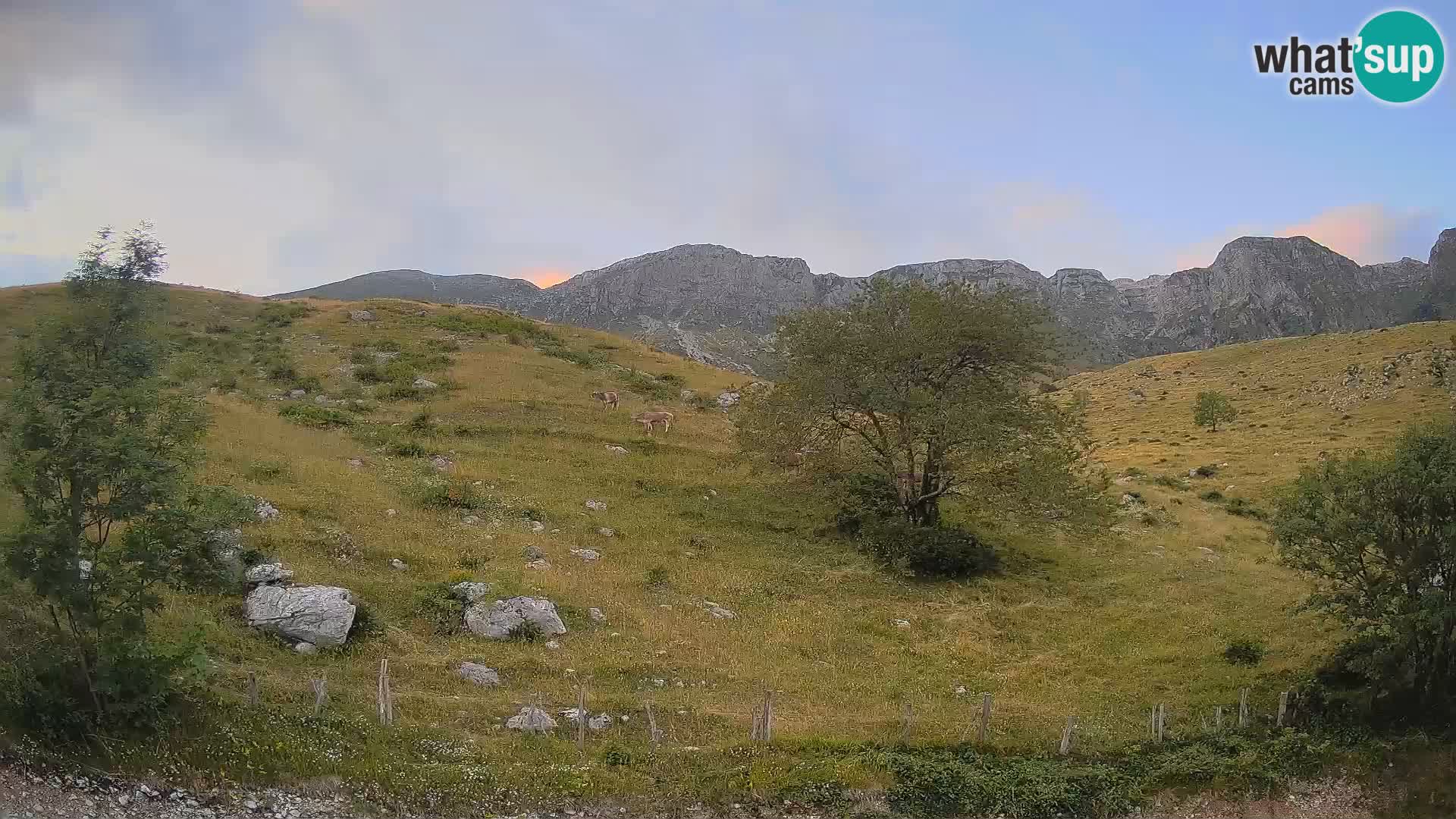 Cámara en Vivo de Planina Kuhinja – KRN – Kobarid – Eslovenia