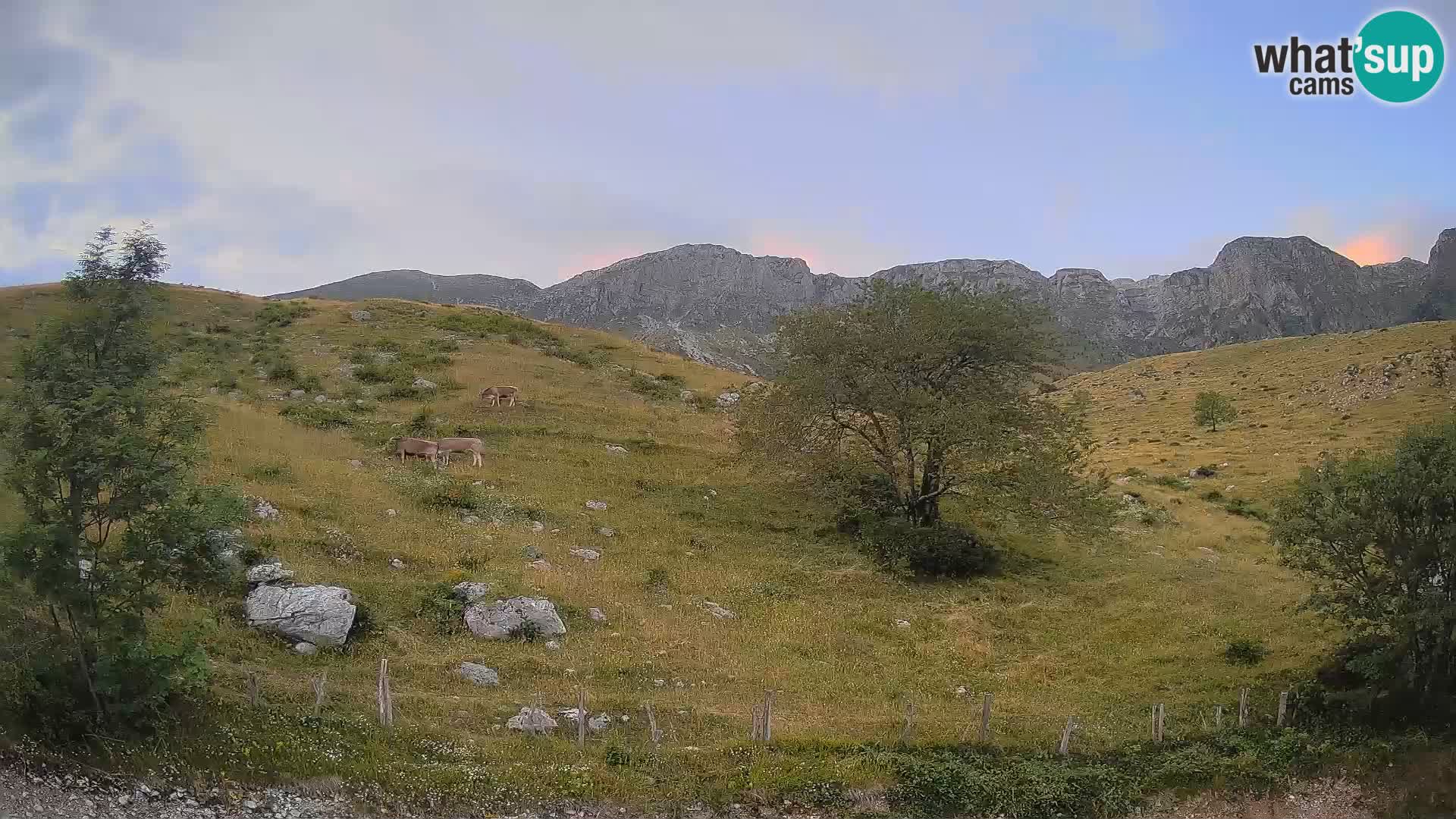 Spletna kamera Planina Kuhinja – KRN – Kobarid