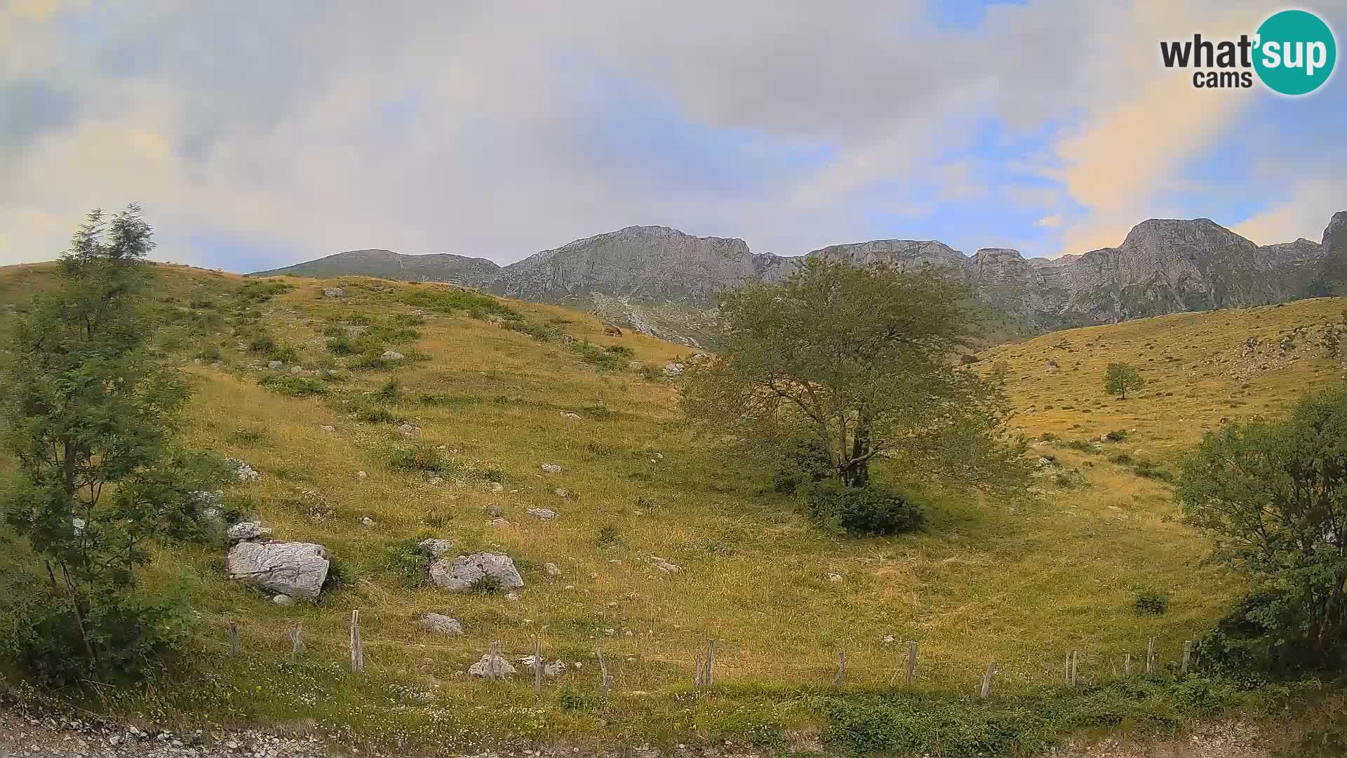 Livecam Planina Kuhinja – KRN- Kobarid – Slovénie