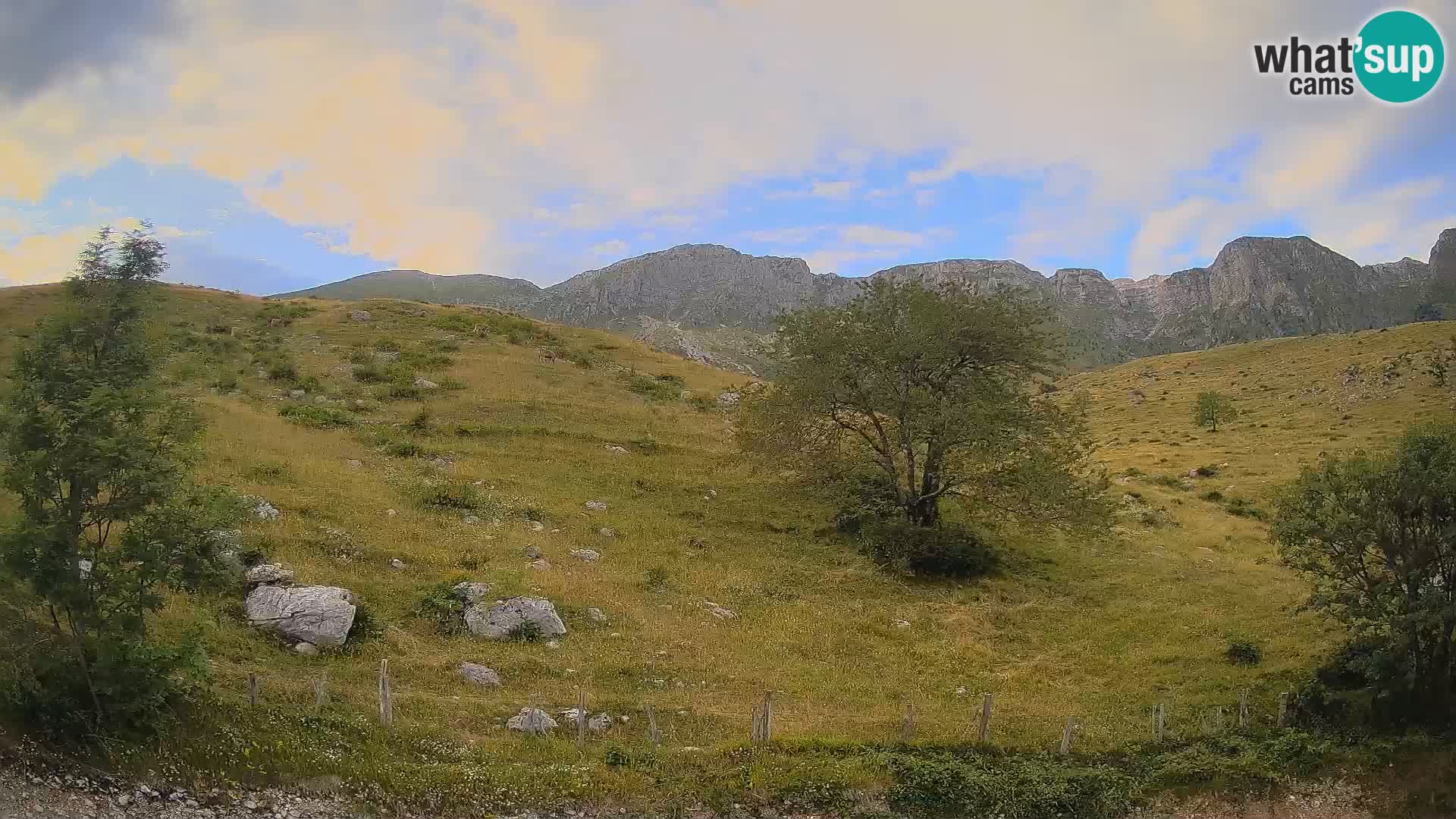 Web kamera Planina Kuhinja – KRN – Kobarid – Slovenija