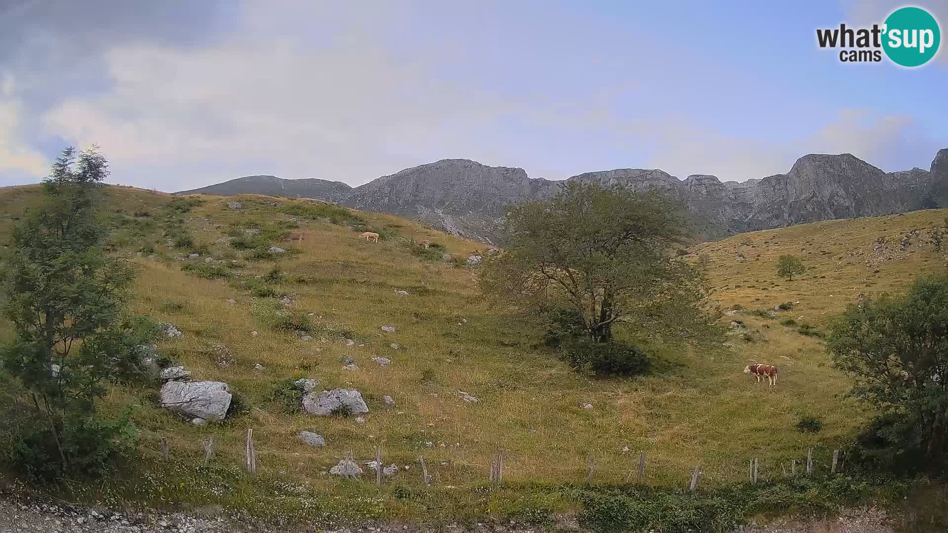 Web kamera Planina Kuhinja – KRN – Kobarid – Slovenija