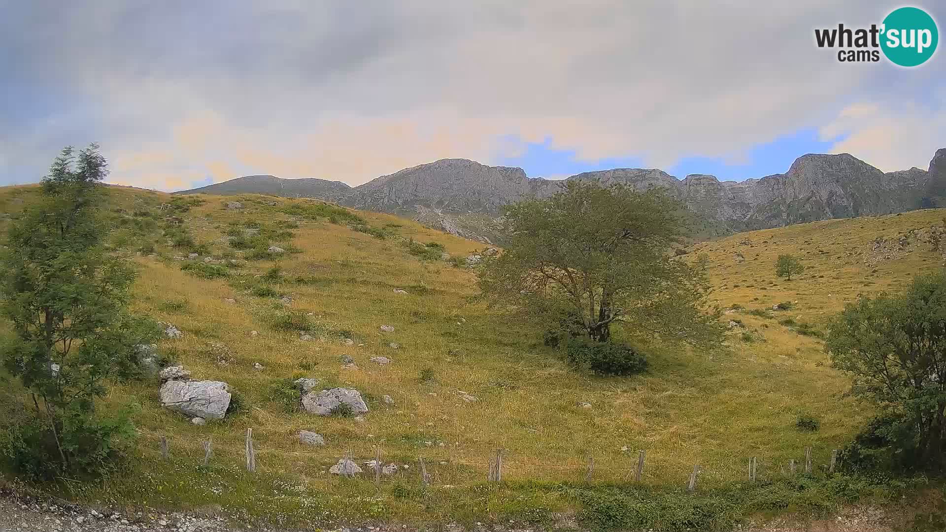Cámara en Vivo de Planina Kuhinja – KRN – Kobarid – Eslovenia