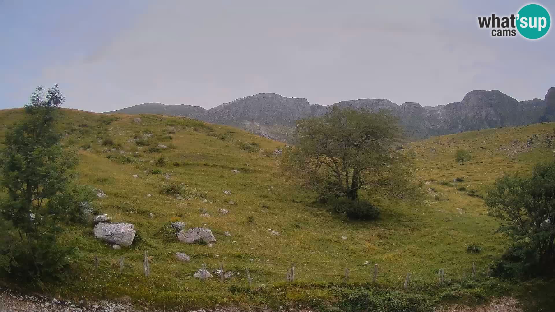 Spletna kamera Planina Kuhinja – KRN – Kobarid