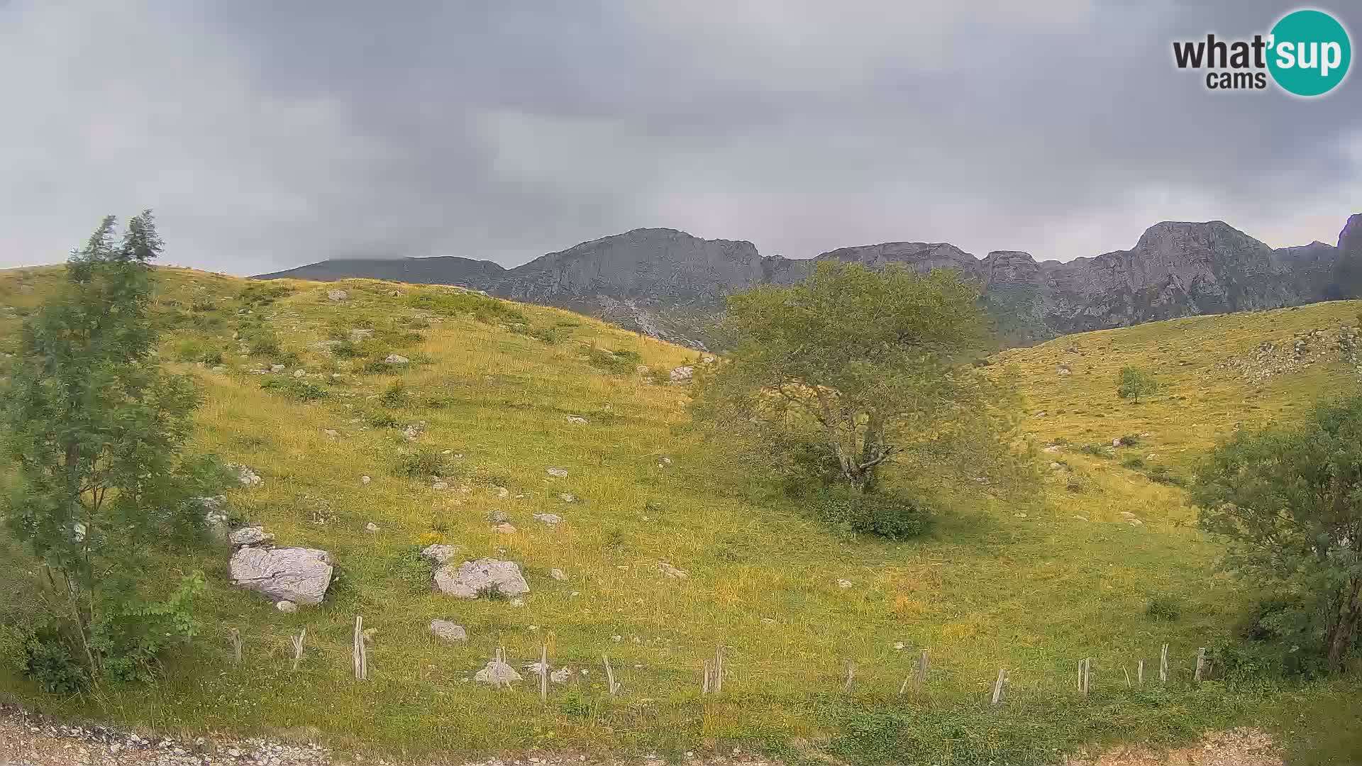 Cámara en Vivo de Planina Kuhinja – KRN – Kobarid – Eslovenia