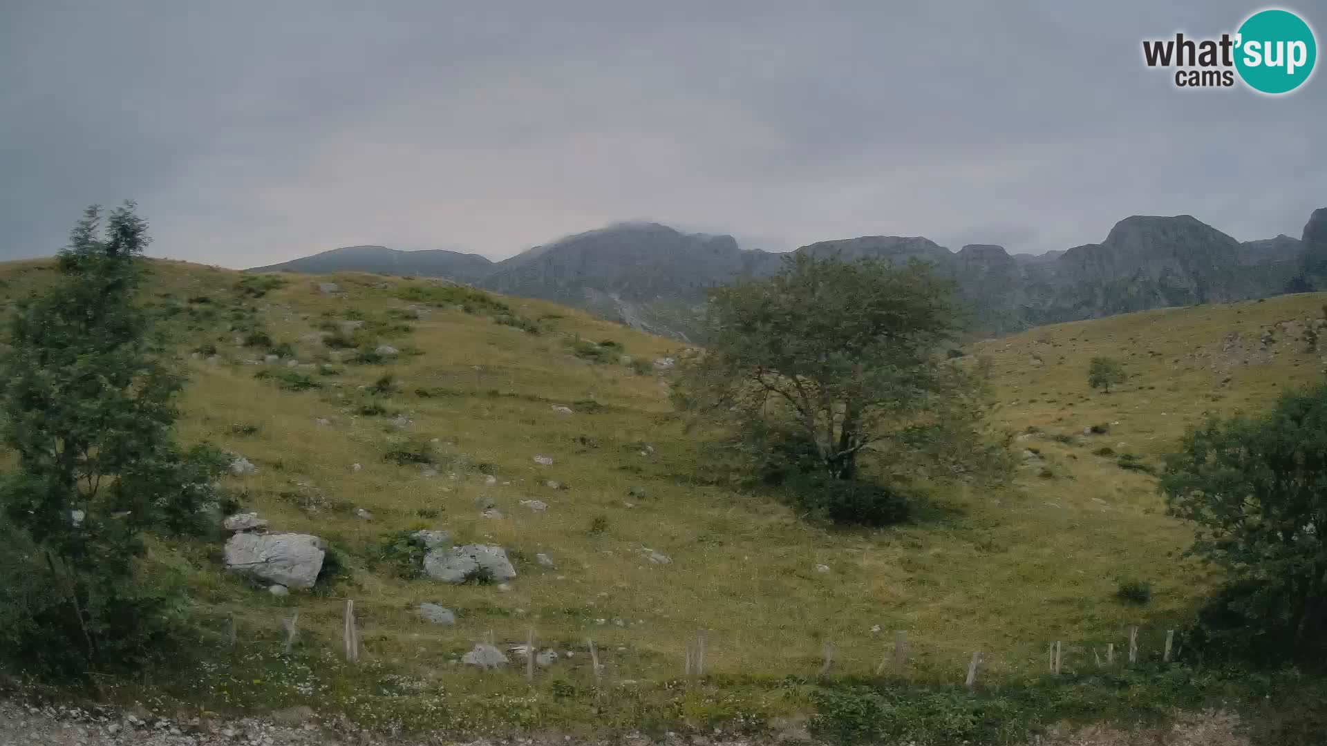 Spletna kamera Planina Kuhinja – KRN – Kobarid