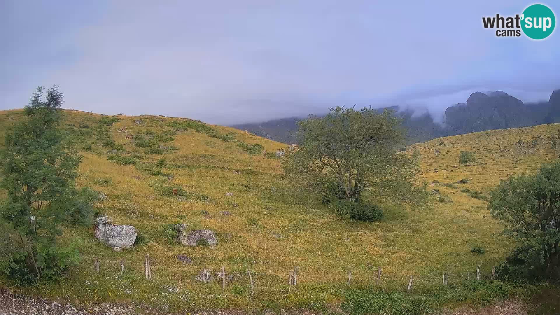 Spletna kamera Planina Kuhinja – KRN – Kobarid
