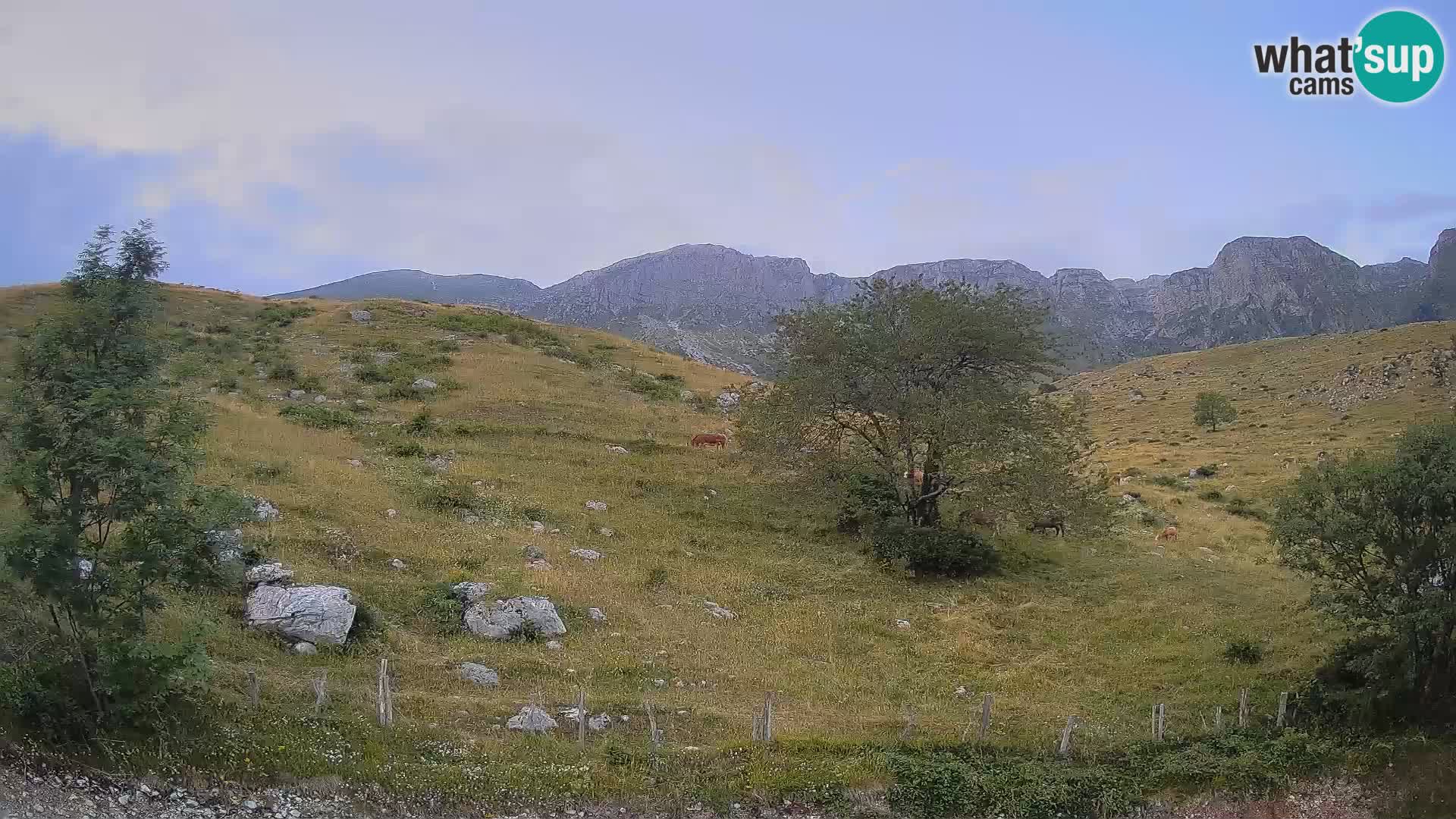 Webcam Planina Kuhinja – KRN – Kobarid – Slowenien