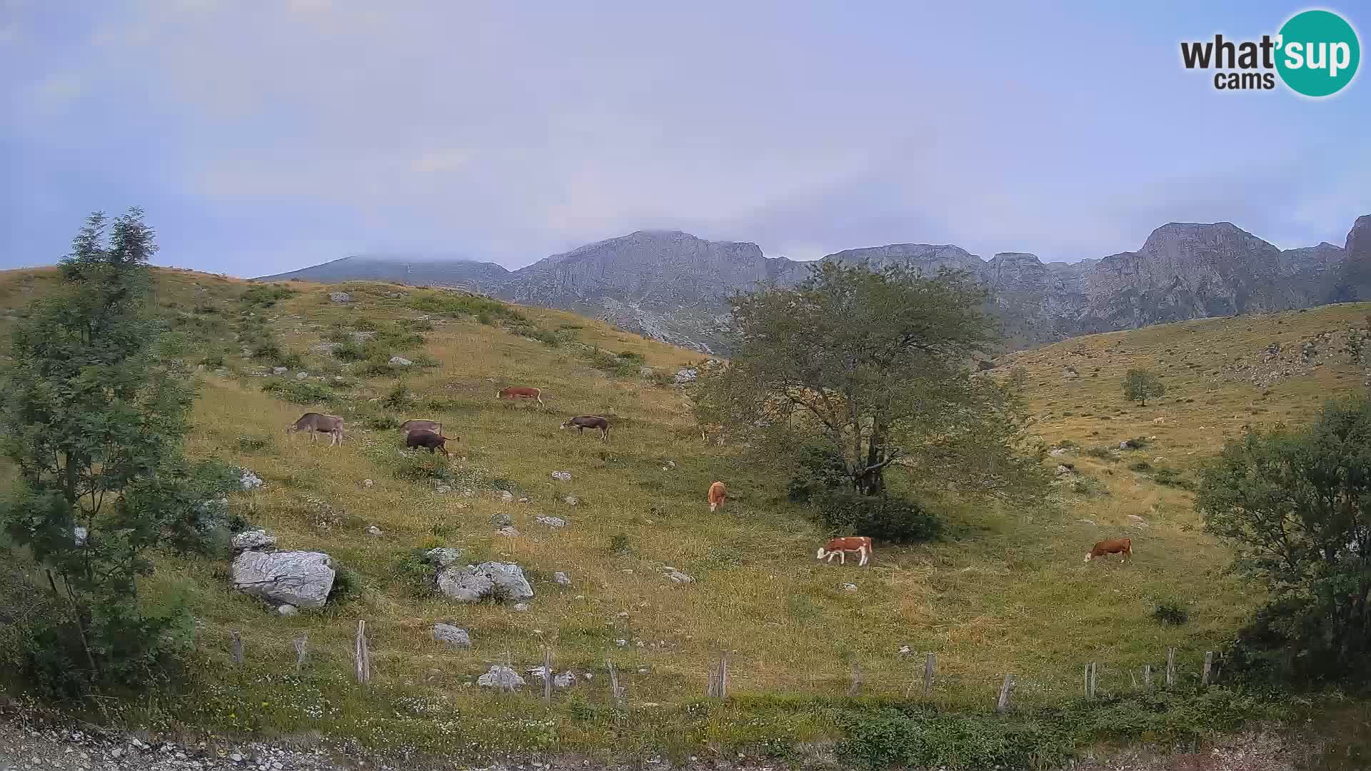 Spletna kamera Planina Kuhinja – KRN – Kobarid