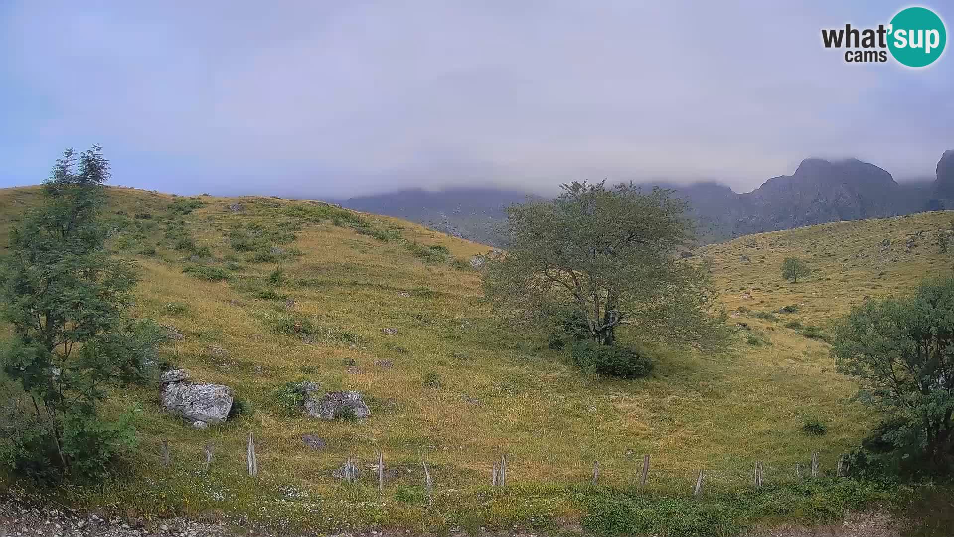 Spletna kamera Planina Kuhinja – KRN – Kobarid