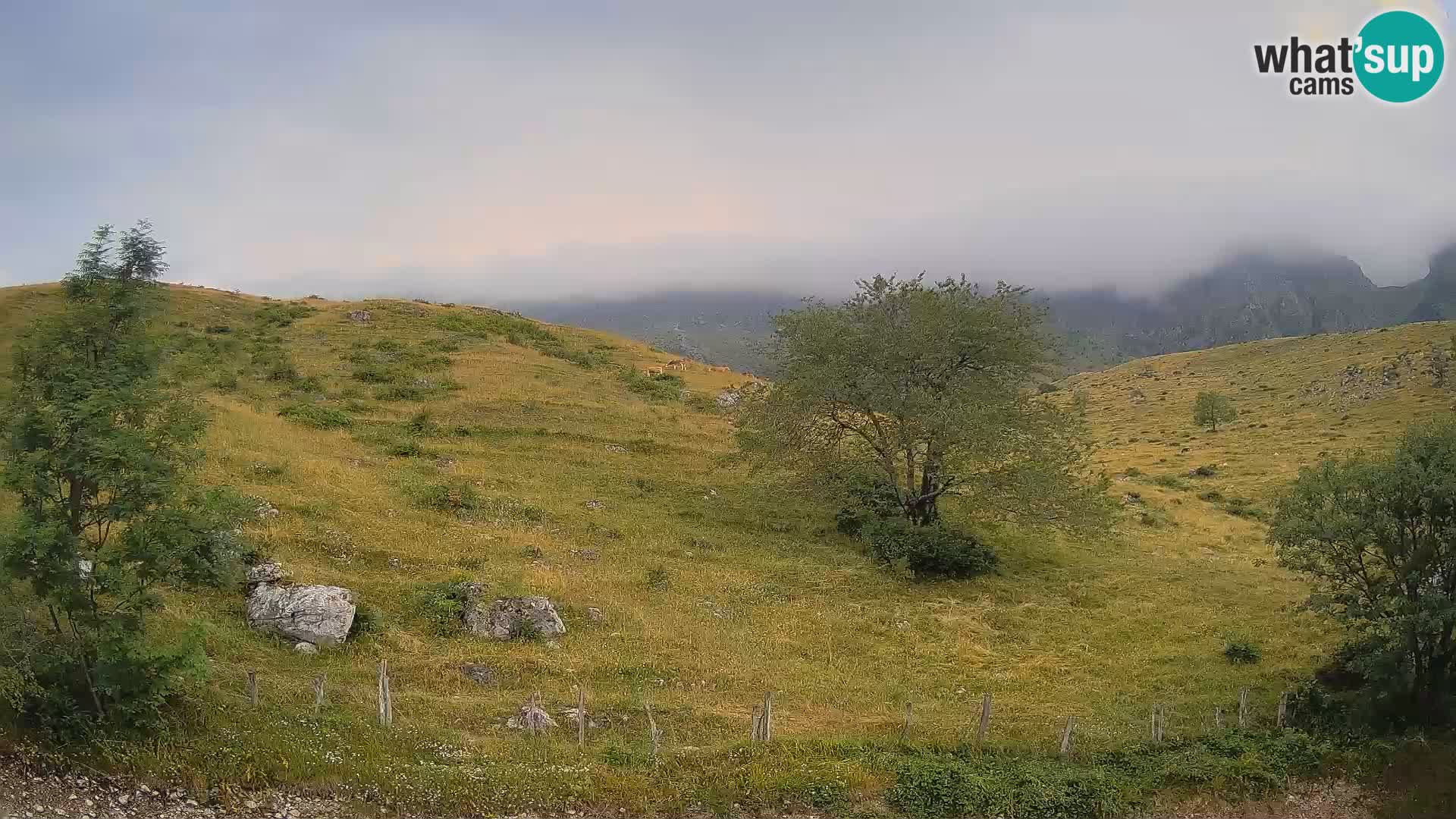 Webcam Planina Kuhinja – KRN – Kobarid – Slowenien
