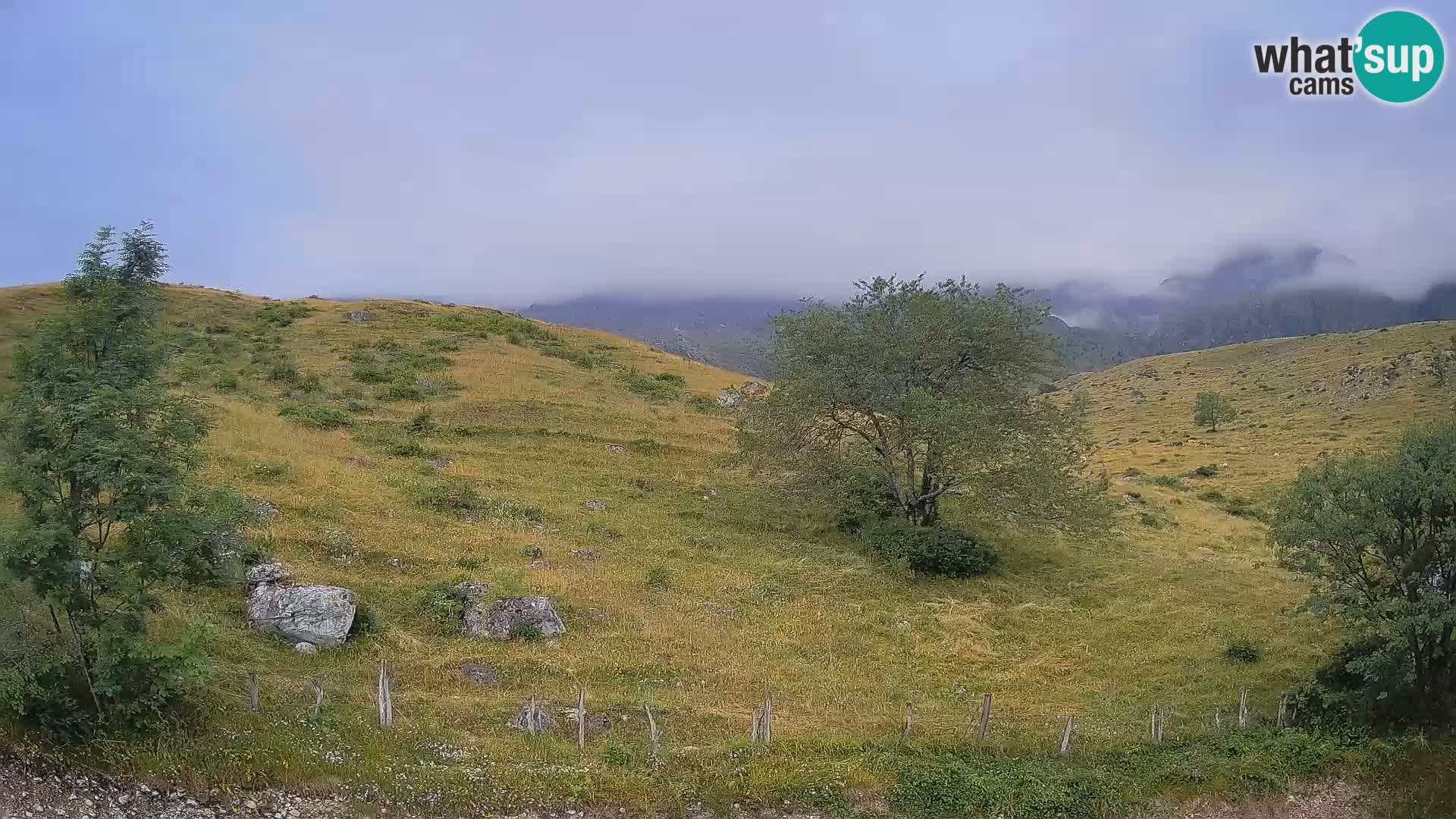 Webcam Planina Kuhinja – KRN – Kobarid – Slowenien