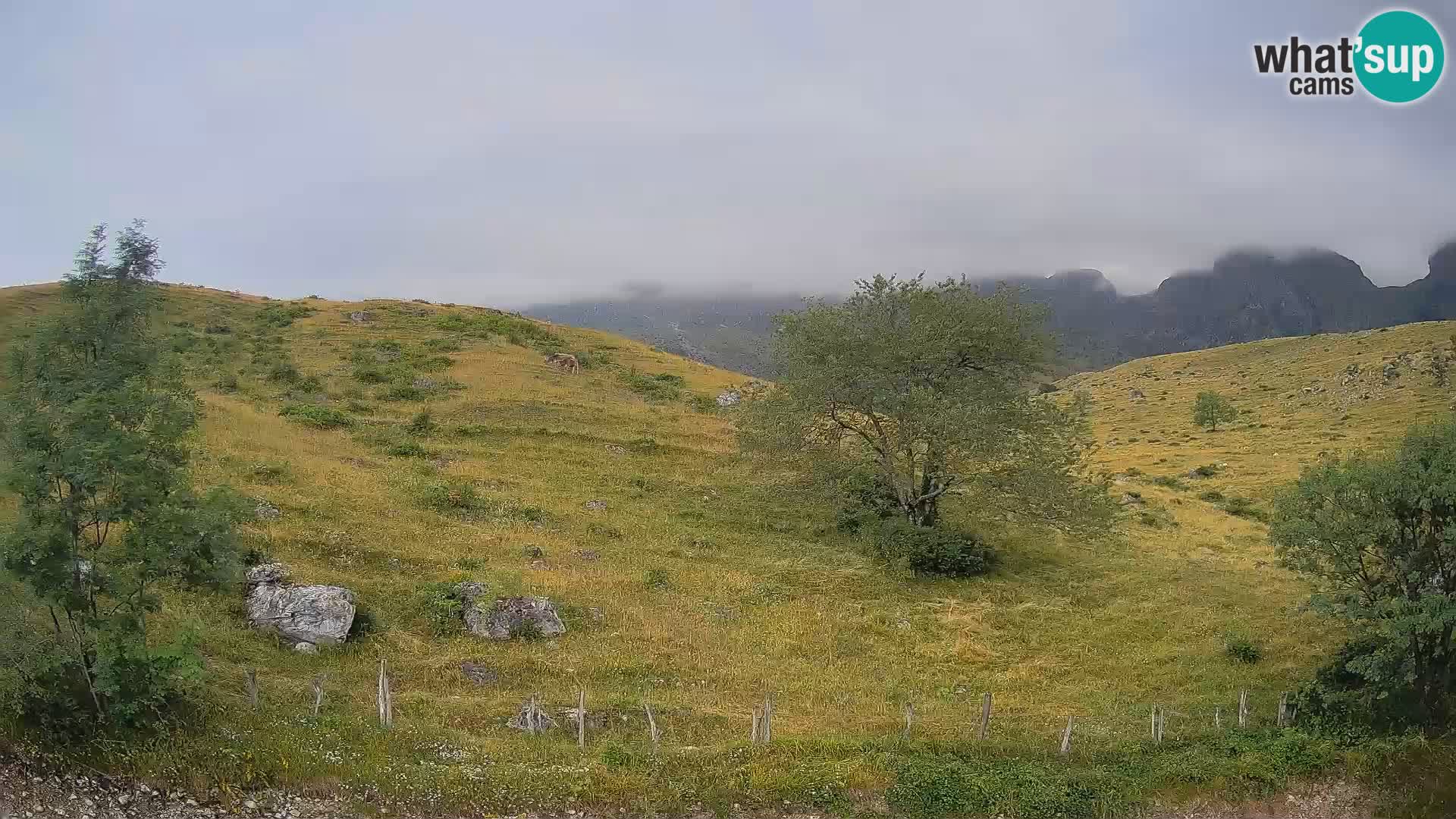 Webcam Planina Kuhinja – KRN – Kobarid – Slowenien