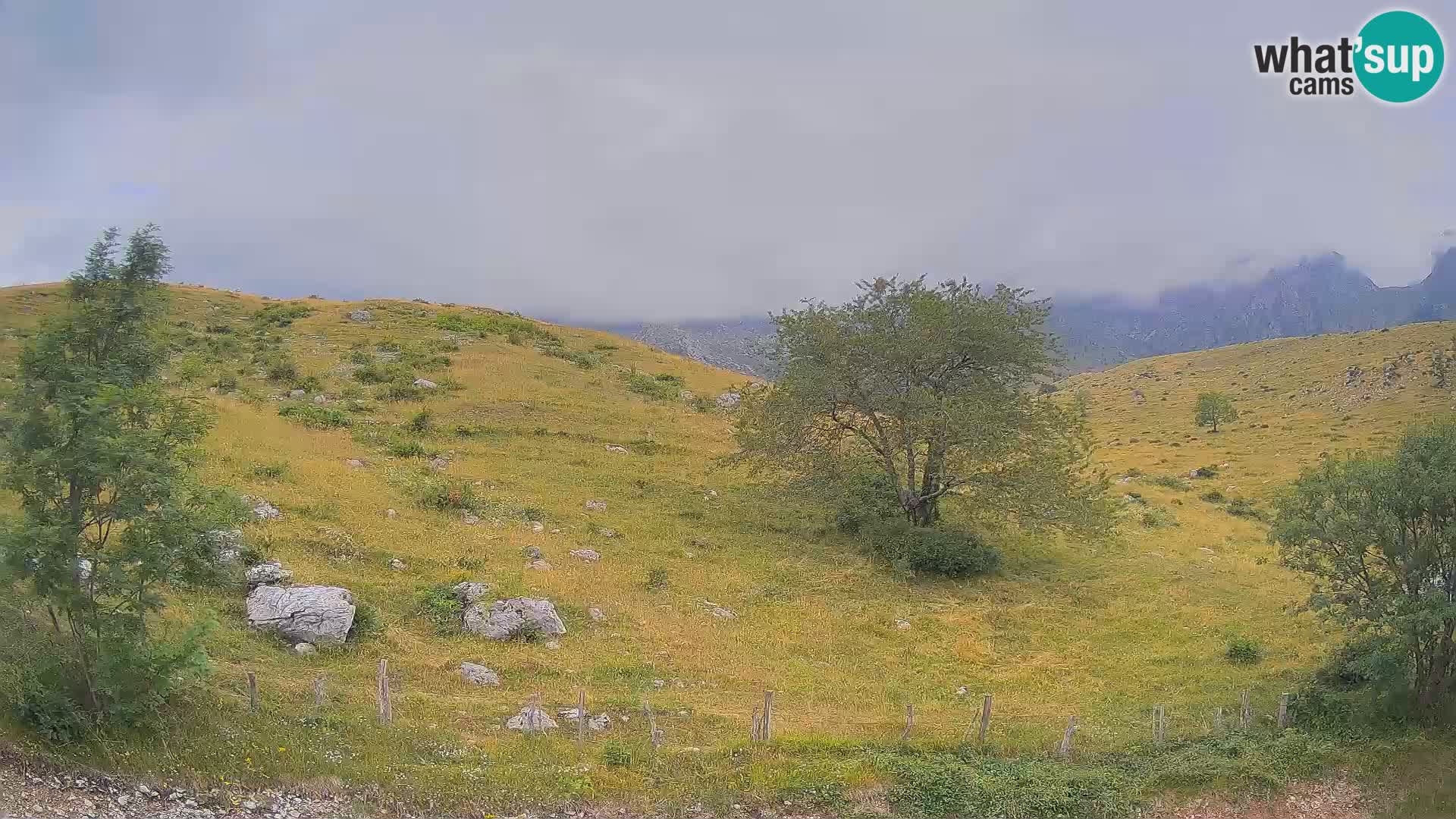 Web kamera Planina Kuhinja – KRN – Kobarid – Slovenija