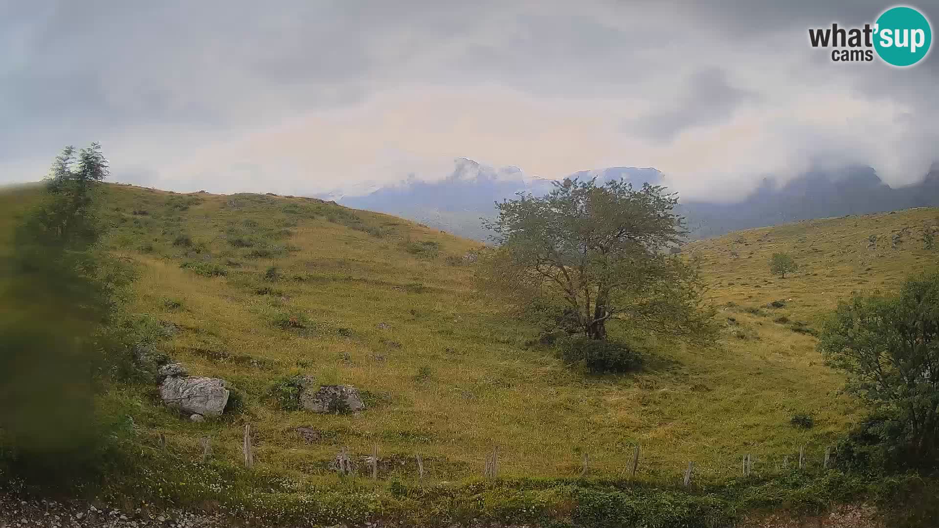 Livecam Planina Kuhinja – KRN- Kobarid – Slovénie