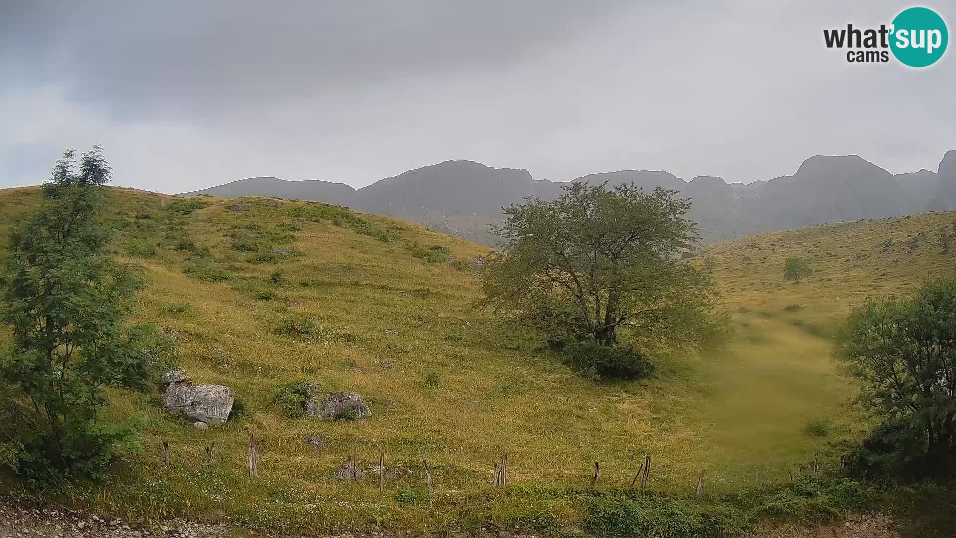 Webcam Krn – Planina Kuhinja ( Plateau Kuhinja ) – Kobarid – Slovenia