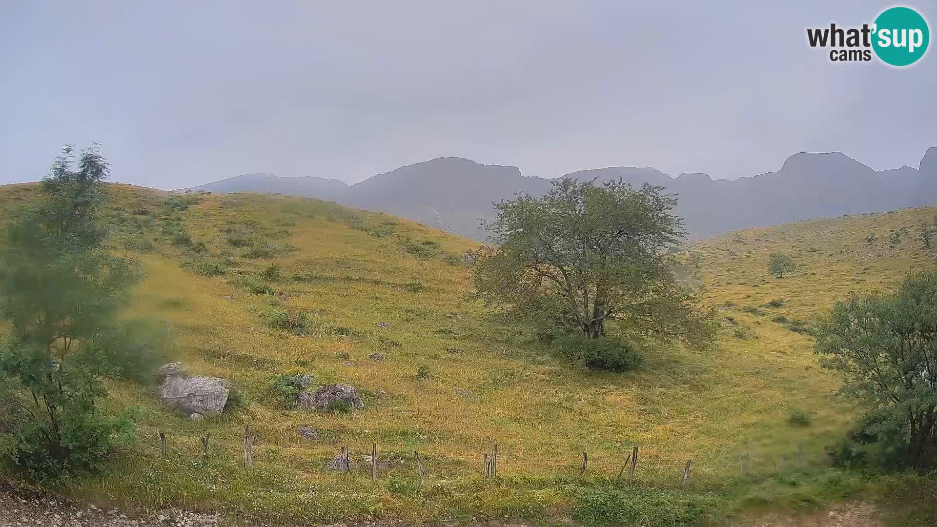 Livecam Planina Kuhinja – KRN- Kobarid – Slovénie