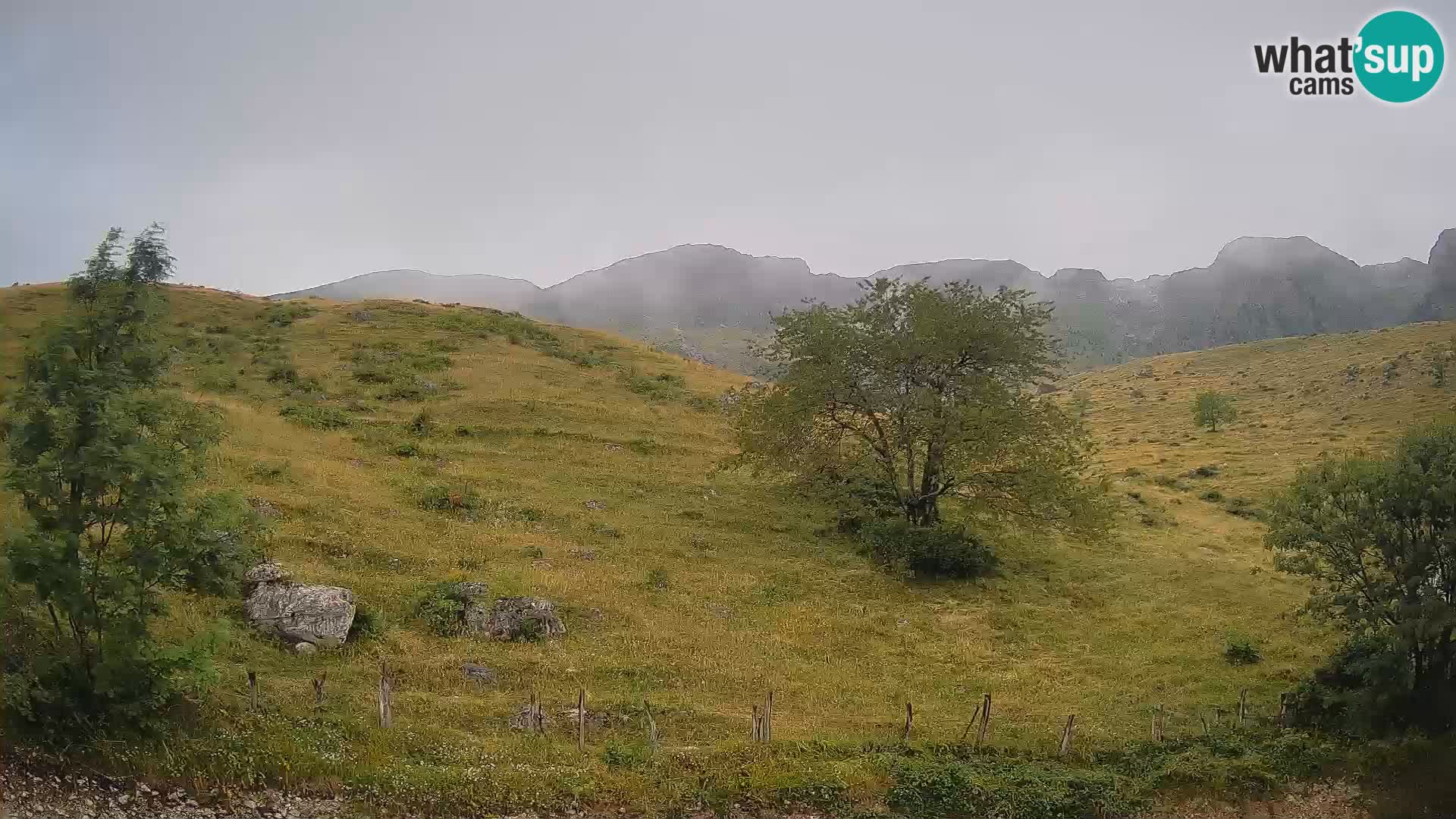 Live cam Planina Kuhinja – Monte Nero ( Krn ) – Caporetto – Slovenia