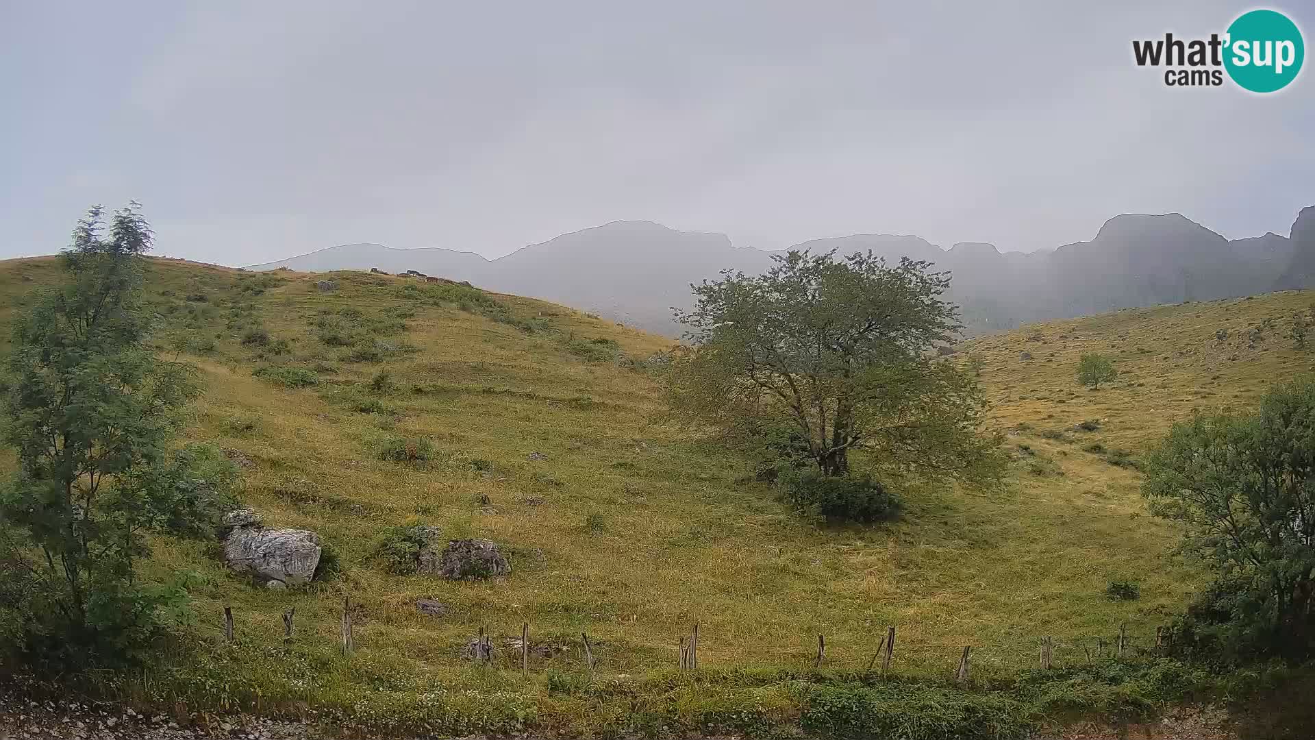 Live cam Planina Kuhinja – Monte Nero ( Krn ) – Caporetto – Slovenia