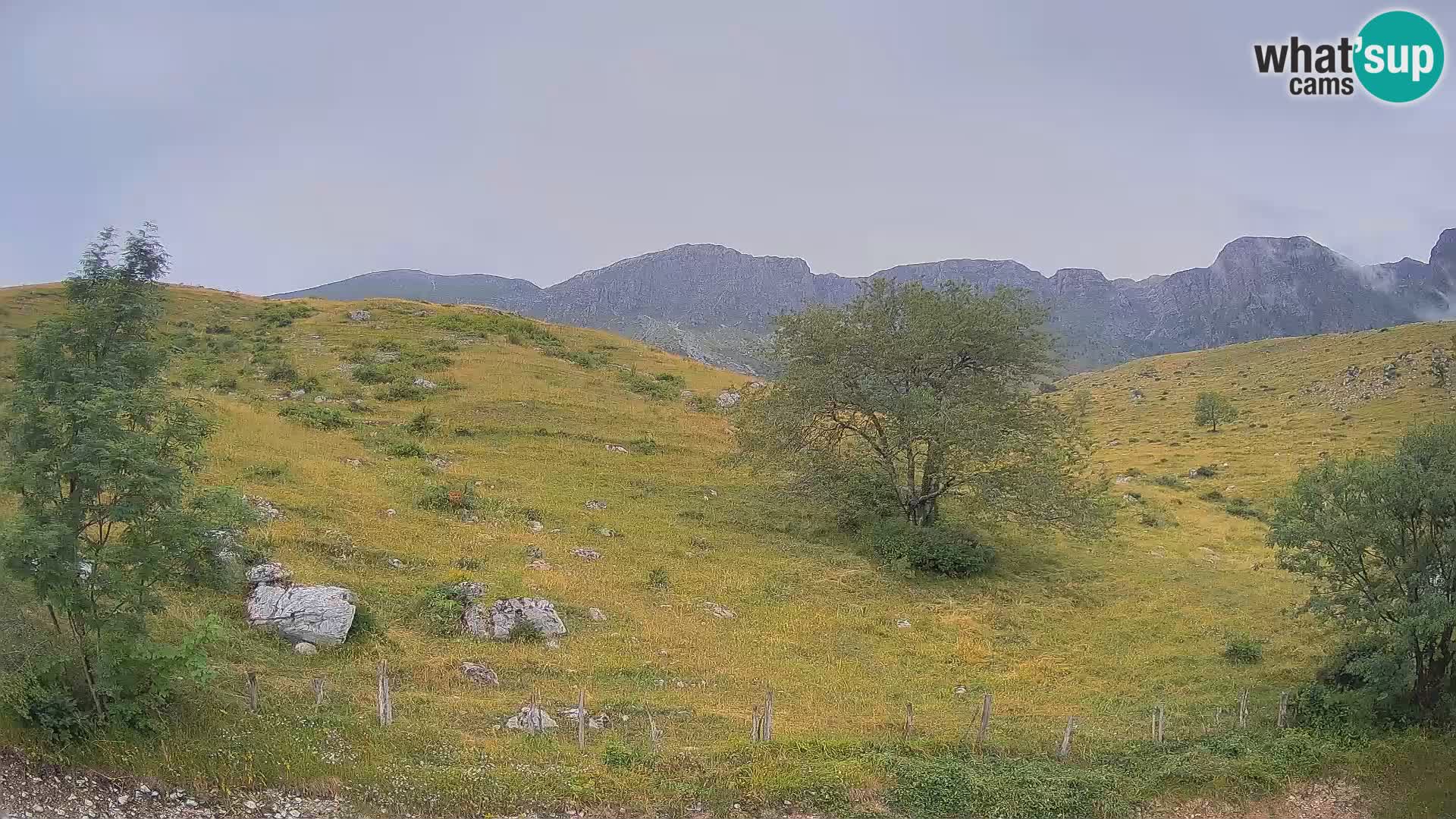 Livecam Planina Kuhinja – KRN- Kobarid – Slovénie