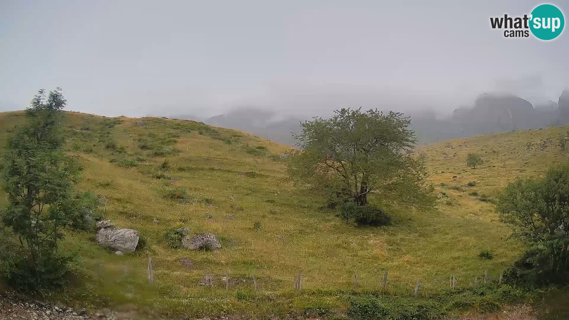 Live cam Planina Kuhinja – Monte Nero ( Krn ) – Caporetto – Slovenia