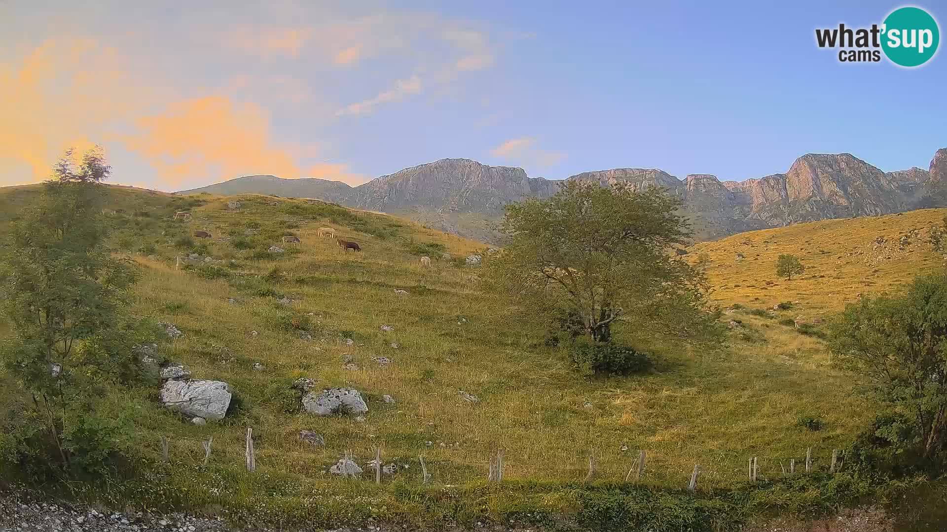 Web kamera Planina Kuhinja – KRN – Kobarid – Slovenija