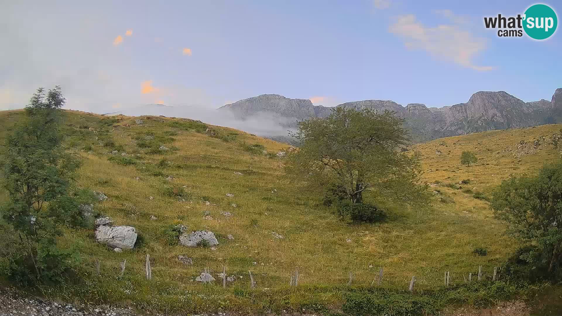 Cámara en Vivo de Planina Kuhinja – KRN – Kobarid – Eslovenia