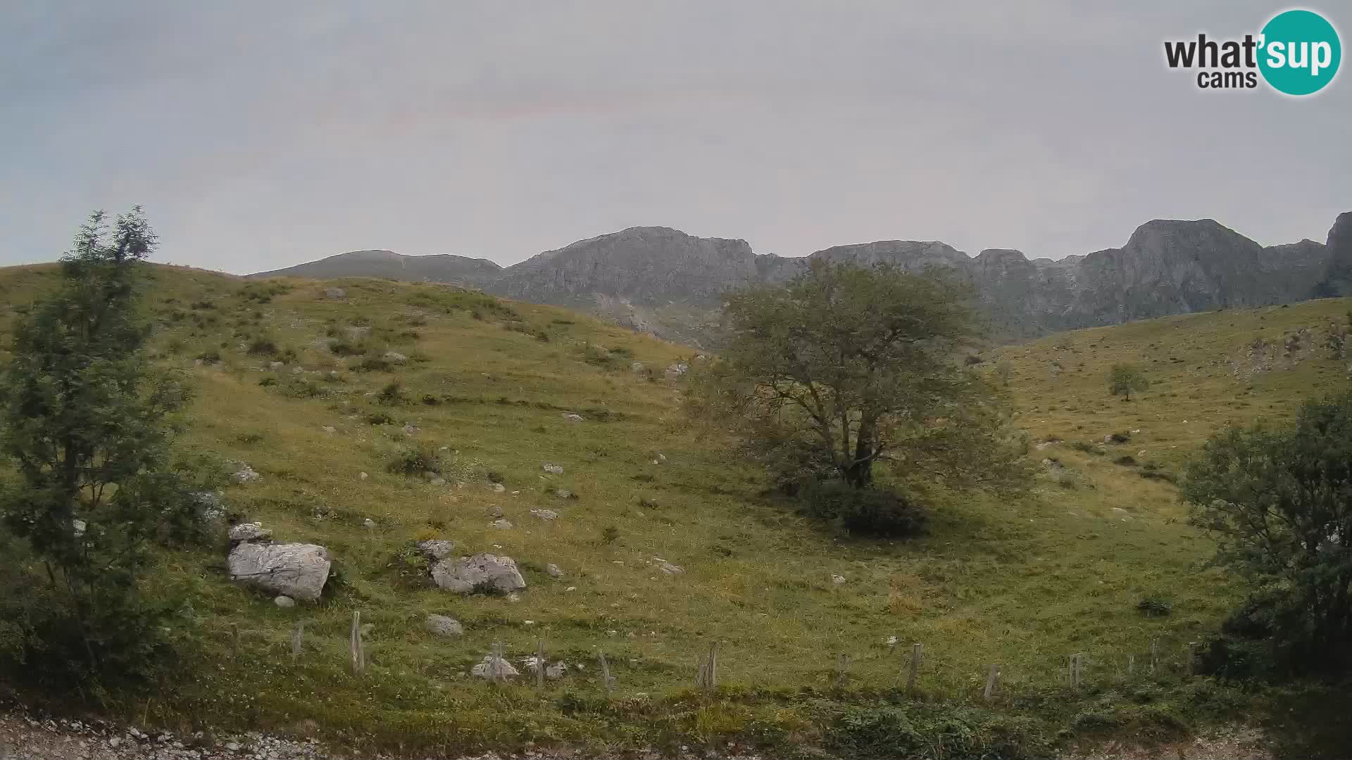 Webcam Planina Kuhinja – KRN – Kobarid – Slowenien