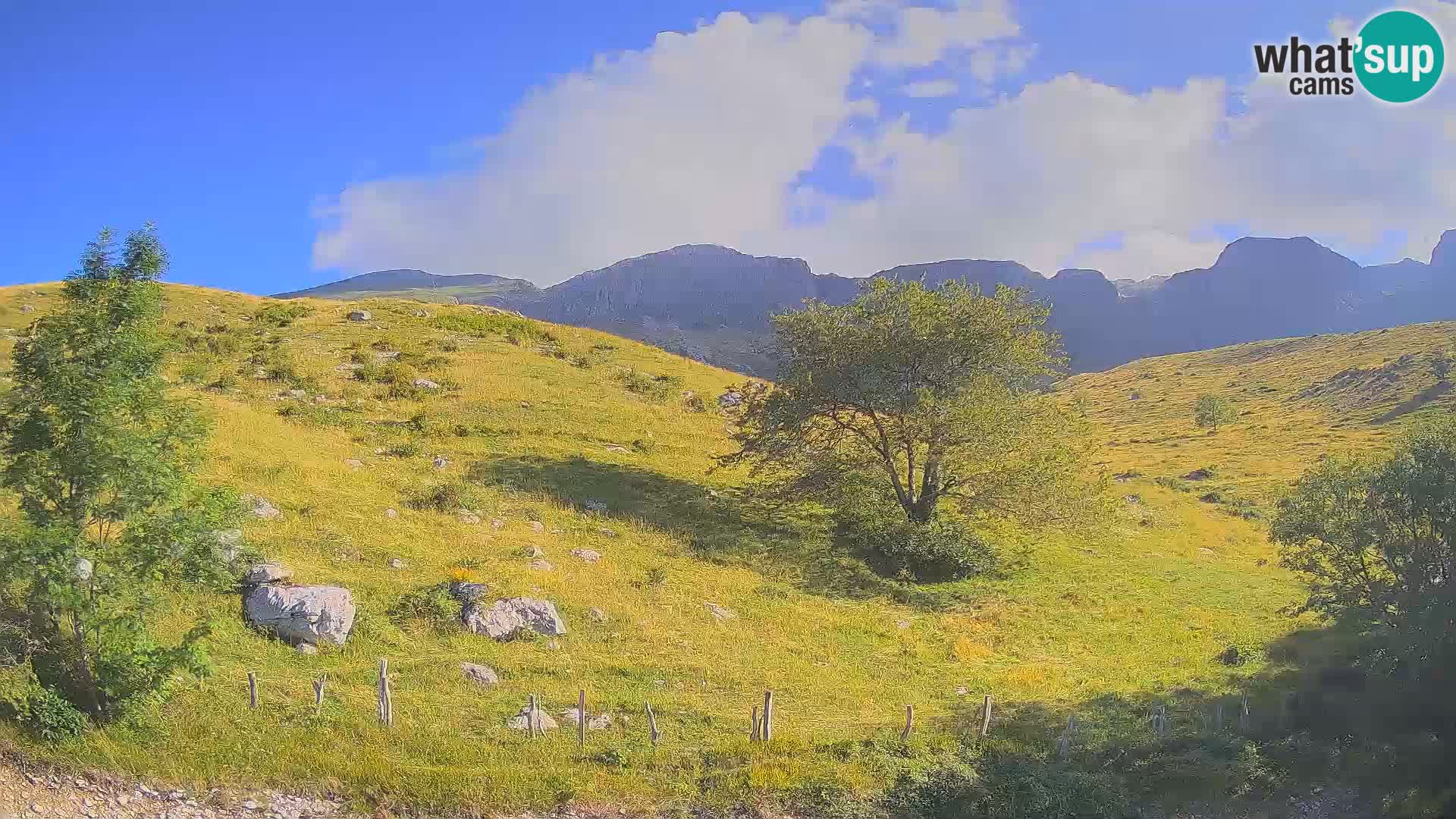 Cámara en Vivo de Planina Kuhinja – KRN – Kobarid – Eslovenia