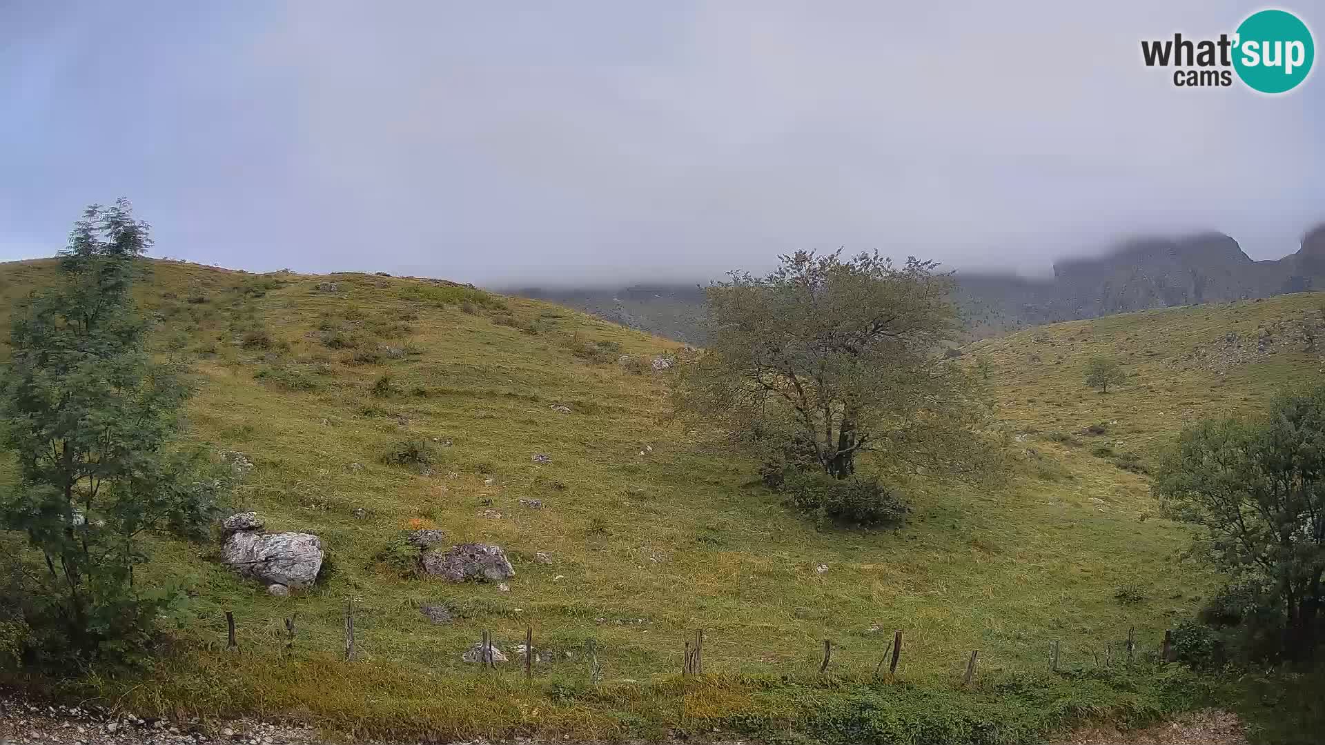 Cámara en Vivo de Planina Kuhinja – KRN – Kobarid – Eslovenia