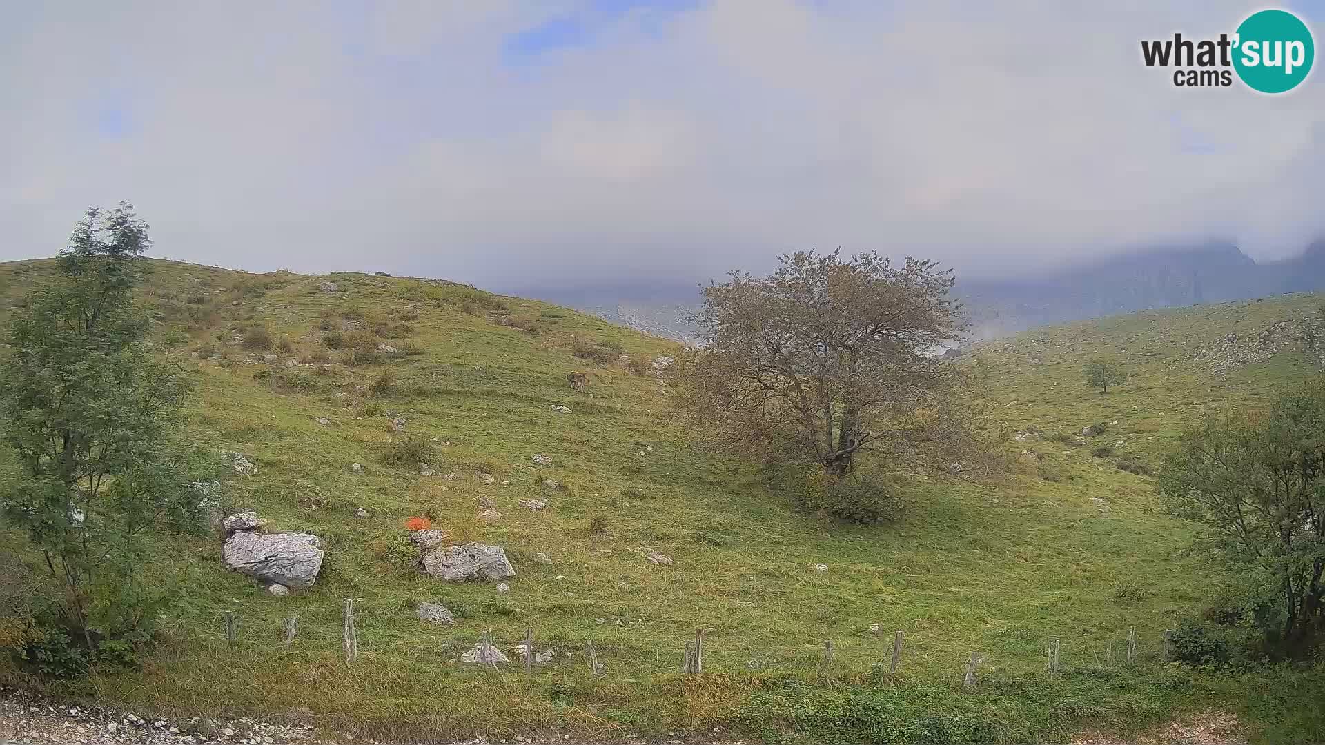 Spletna kamera Planina Kuhinja – KRN – Kobarid