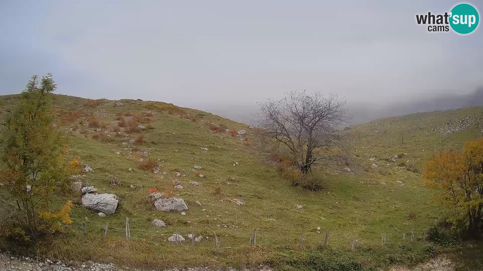 Live cam Planina Kuhinja – Monte Nero ( Krn ) – Caporetto – Slovenia