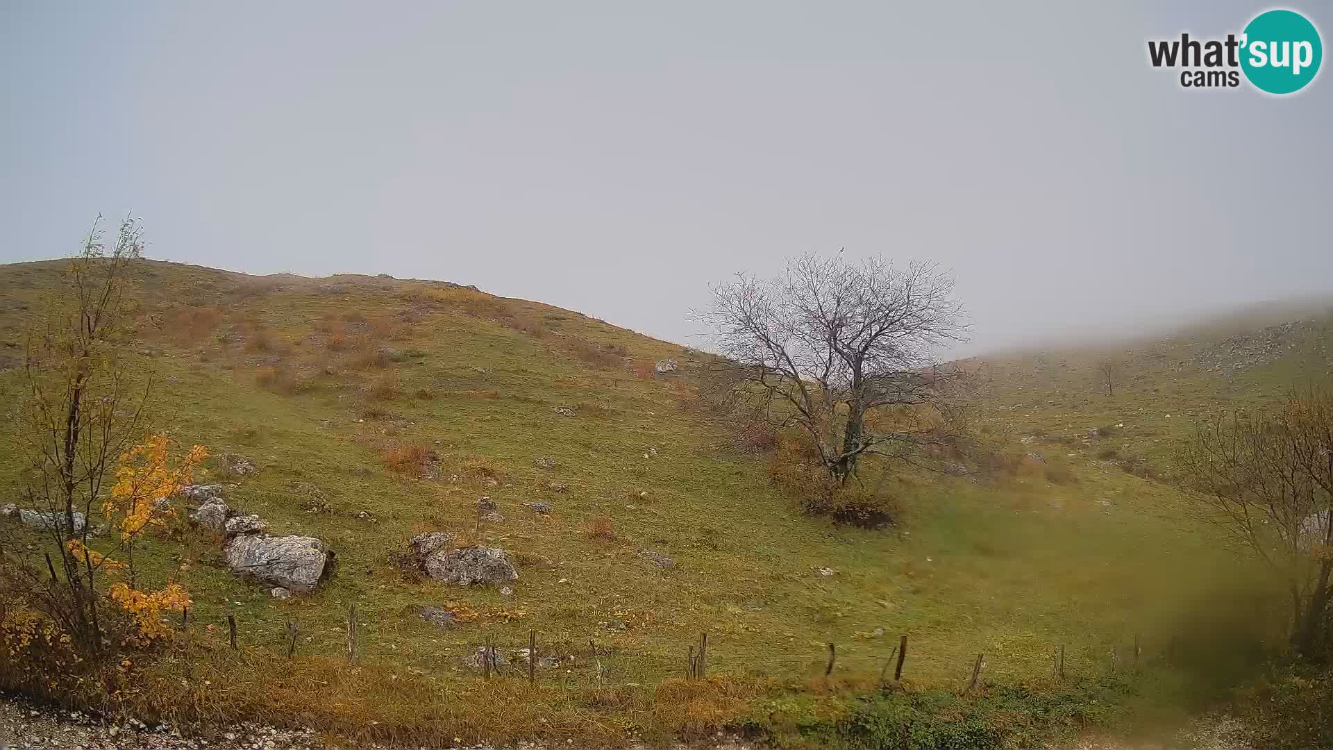 Webcam Planina Kuhinja – KRN – Kobarid – Slowenien