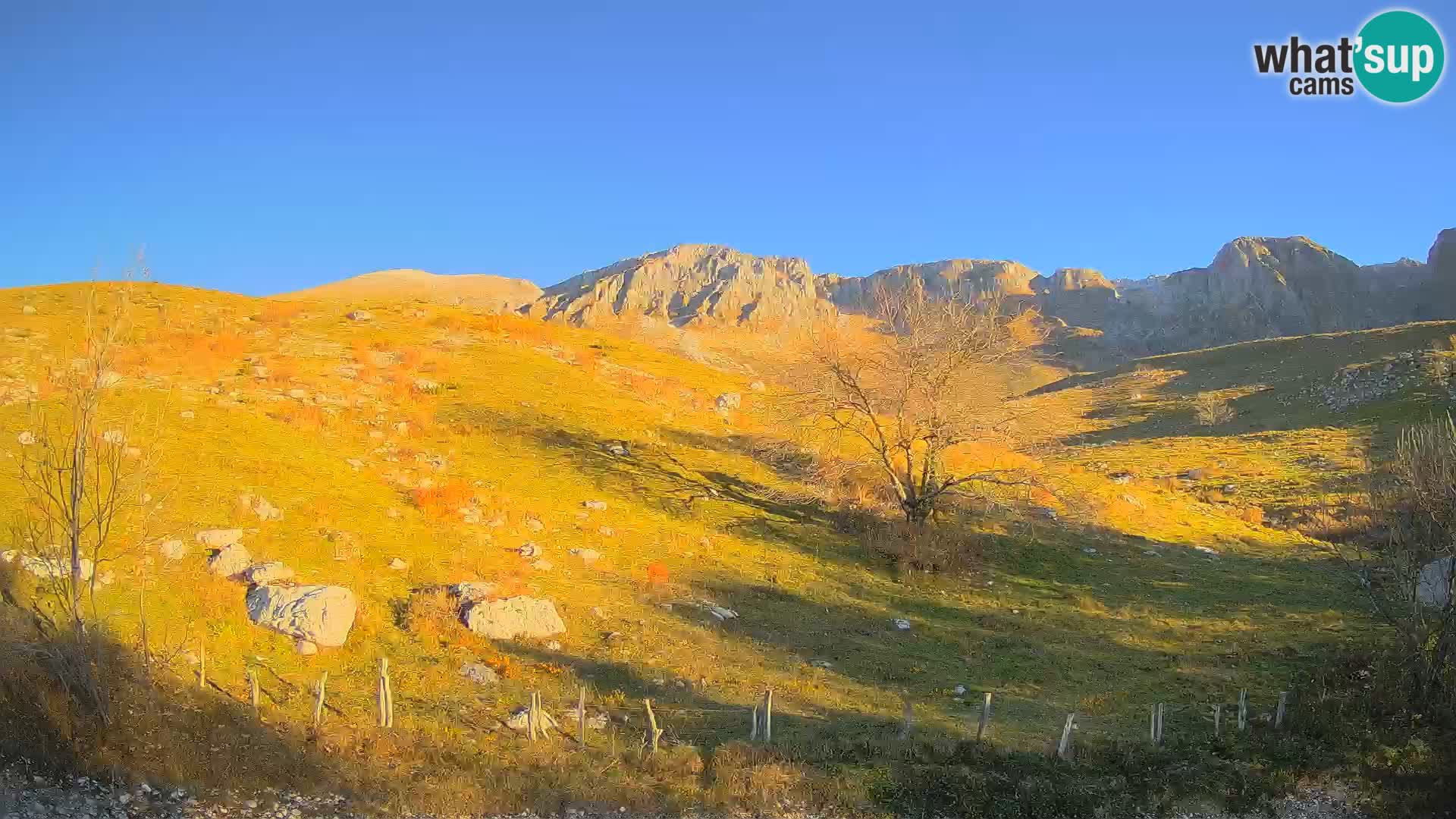 Cámara en Vivo de Planina Kuhinja – KRN – Kobarid – Eslovenia
