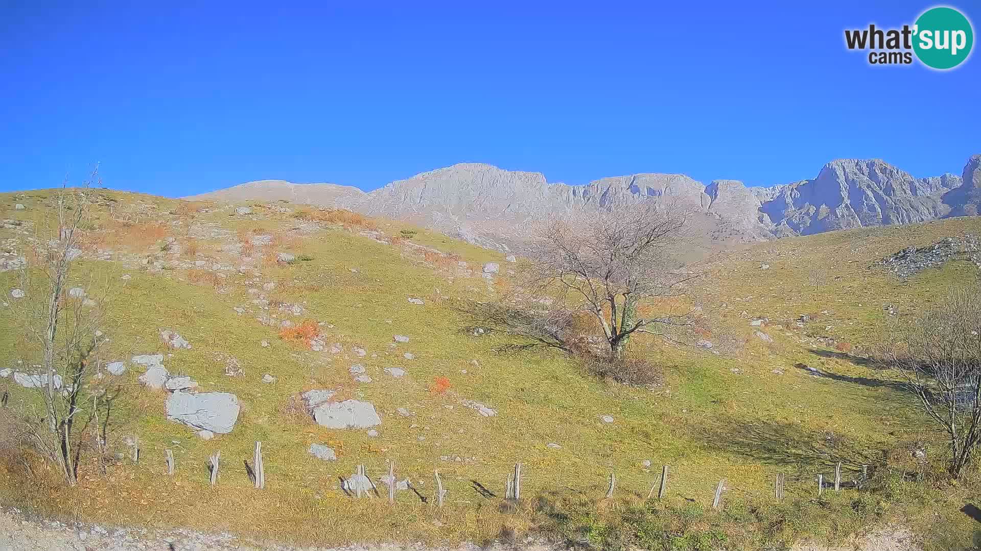 Cámara en Vivo de Planina Kuhinja – KRN – Kobarid – Eslovenia