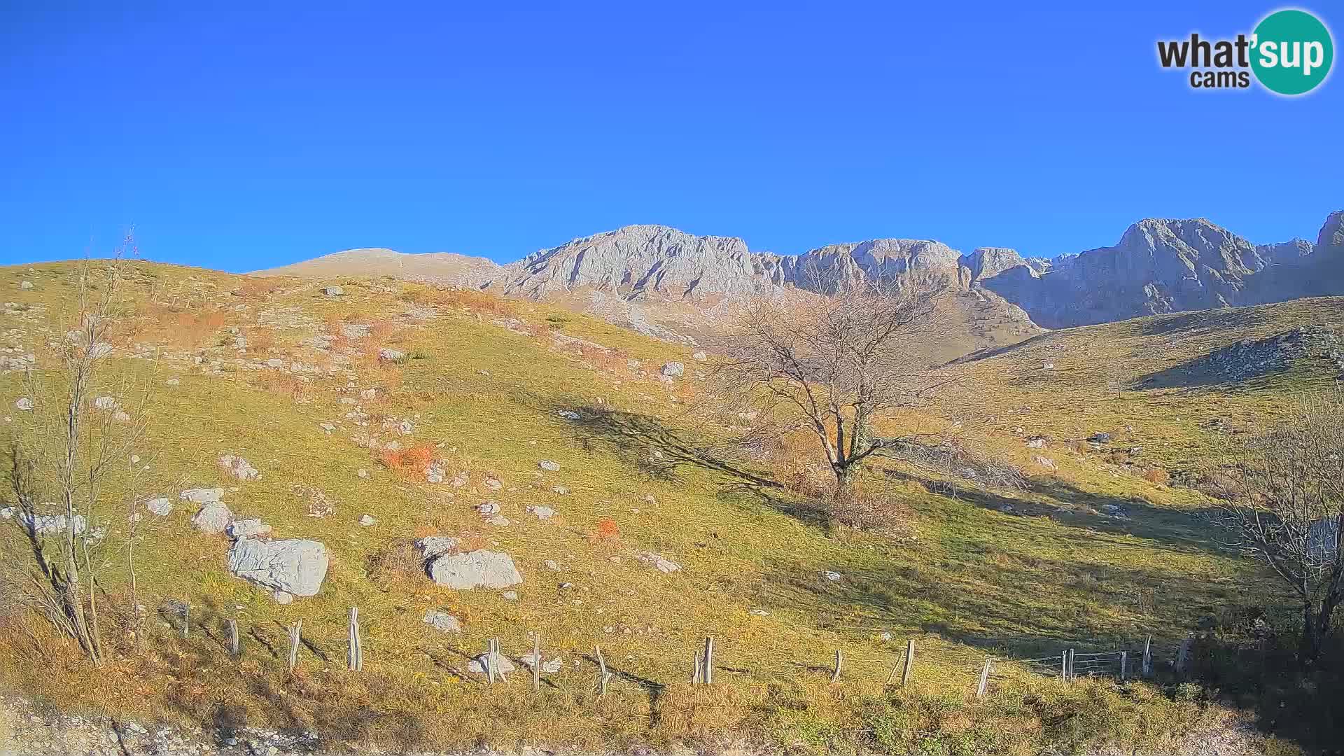 Live cam Planina Kuhinja – Monte Nero ( Krn ) – Caporetto – Slovenia