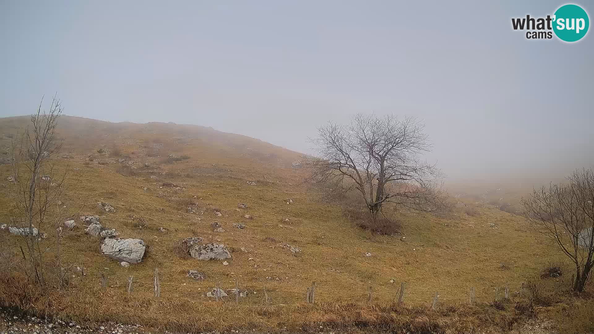 Spletna kamera Planina Kuhinja – KRN – Kobarid