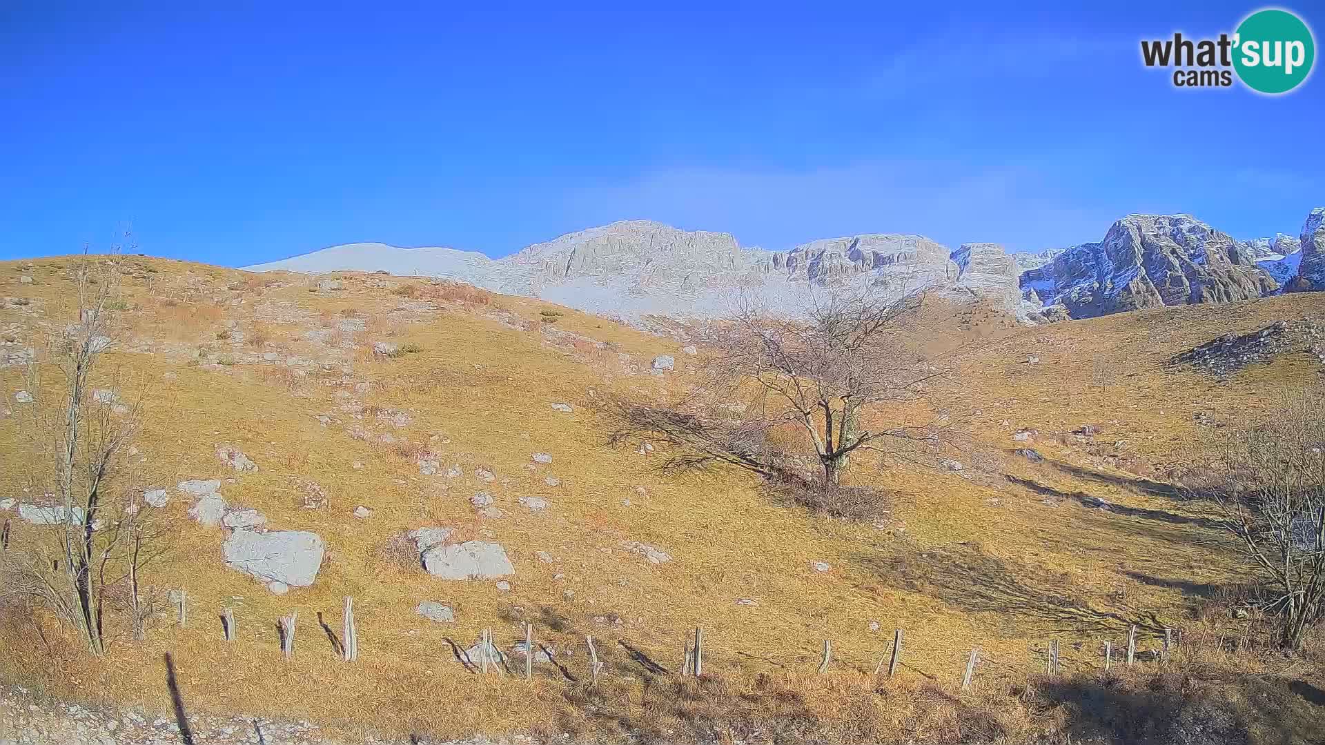 Webcam Krn – Planina Kuhinja ( Plateau Kuhinja ) – Kobarid – Slovenia
