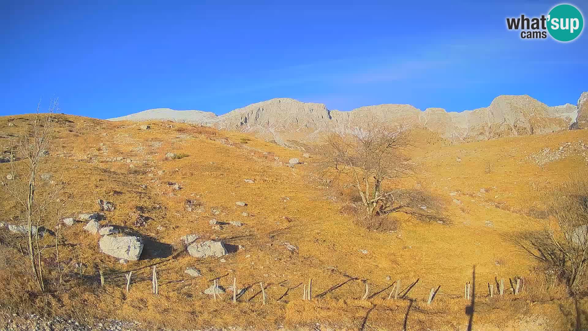 Webcam Krn – Planina Kuhinja ( Plateau Kuhinja ) – Kobarid – Slovenia