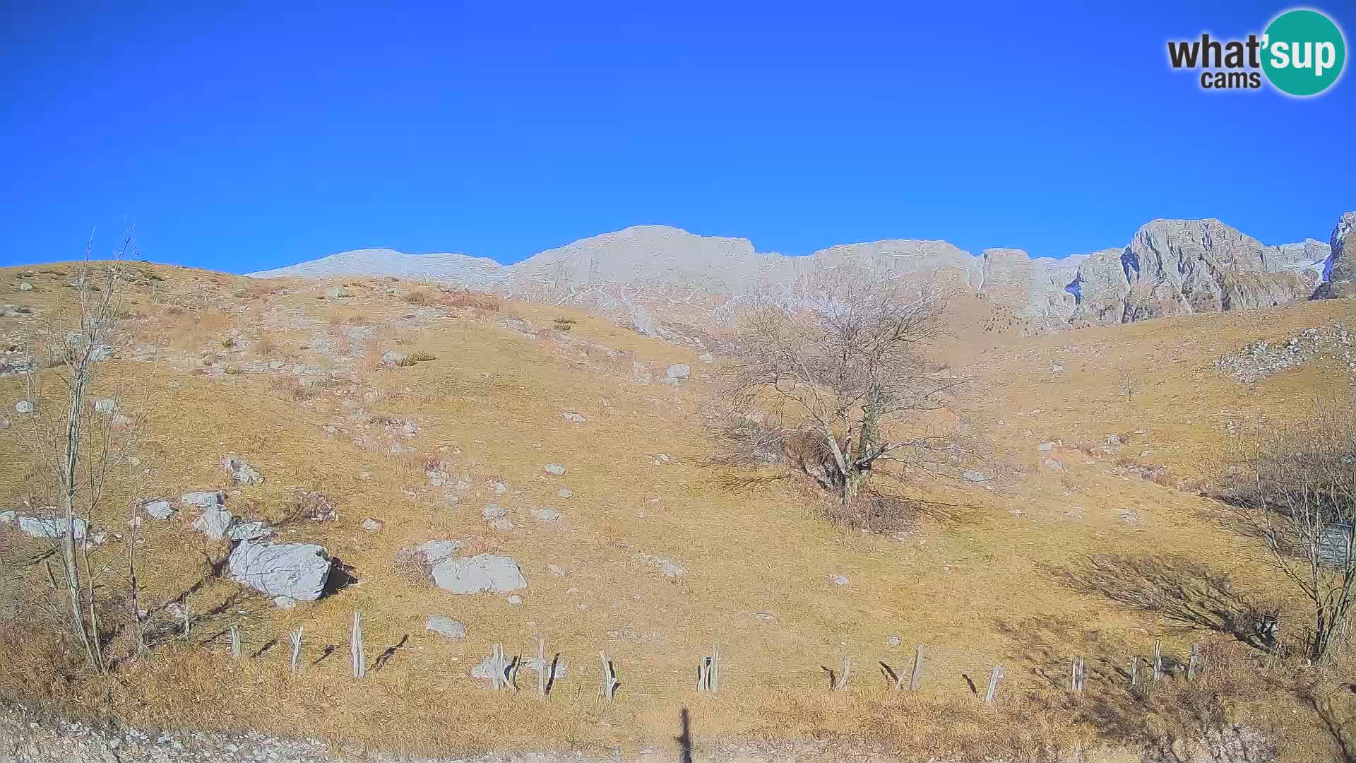 Webcam Krn – Planina Kuhinja ( Plateau Kuhinja ) – Kobarid – Slovenia
