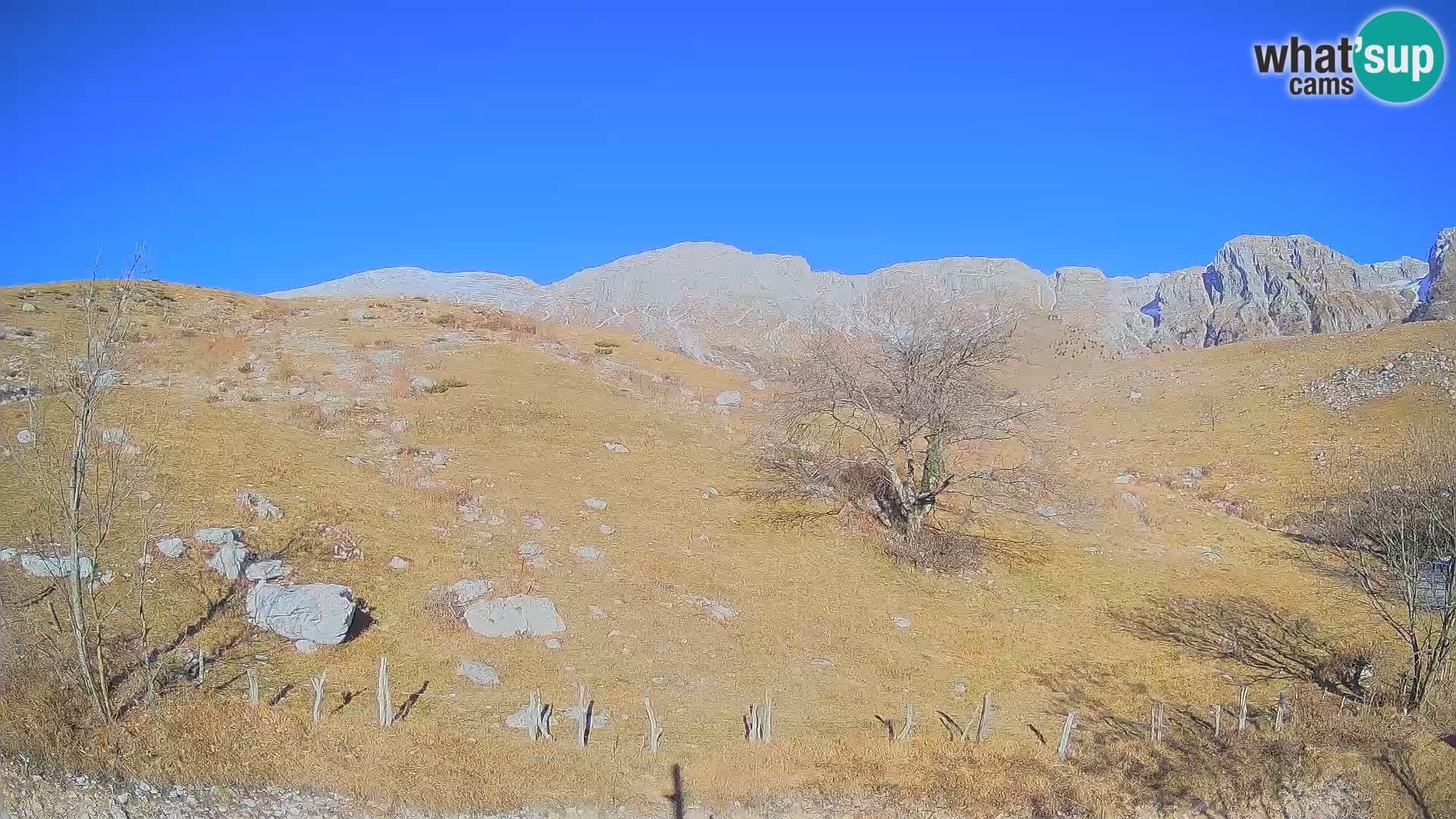 Live cam Planina Kuhinja – Monte Nero ( Krn ) – Caporetto – Slovenia