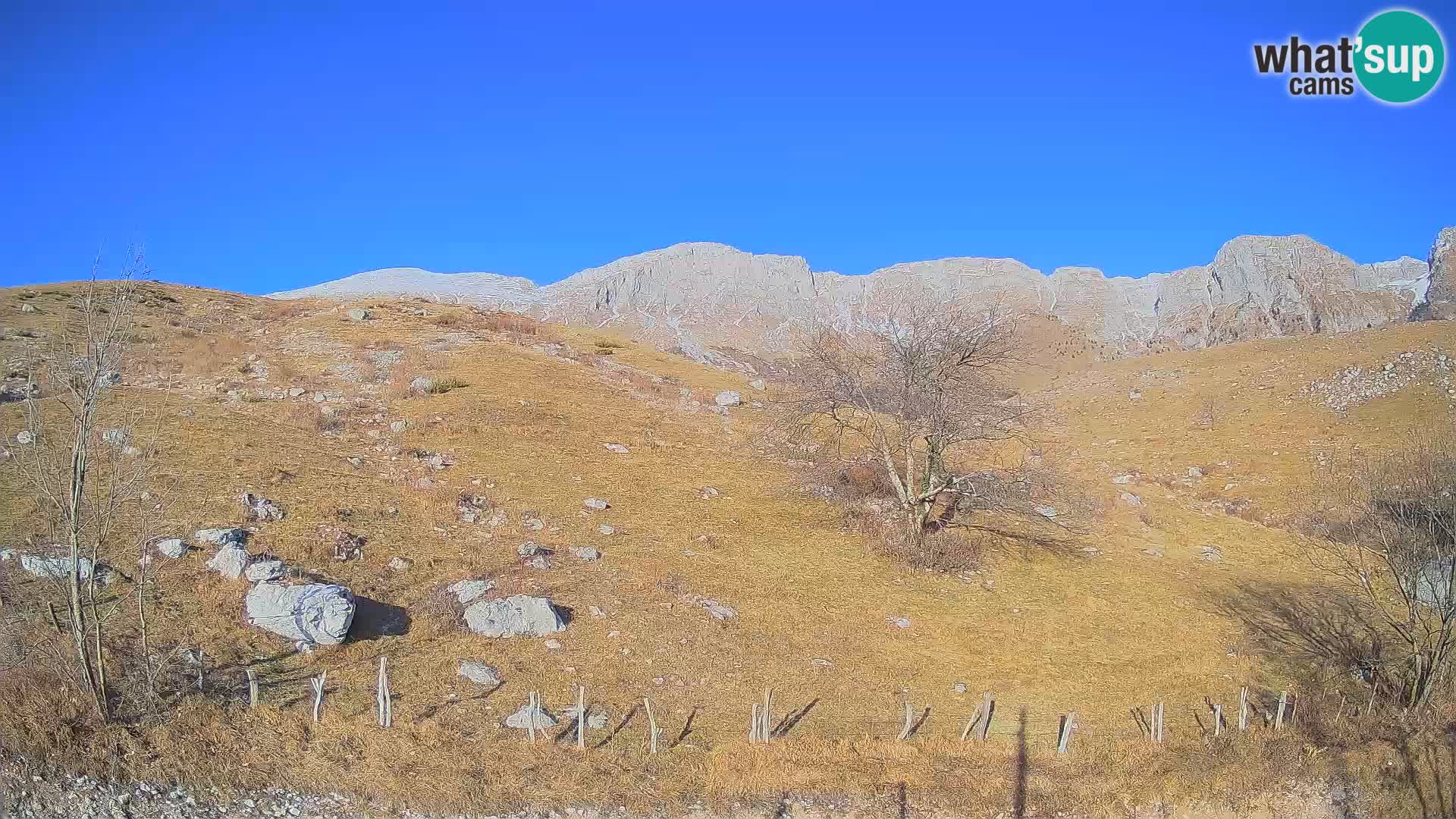 Web kamera Planina Kuhinja – KRN – Kobarid – Slovenija