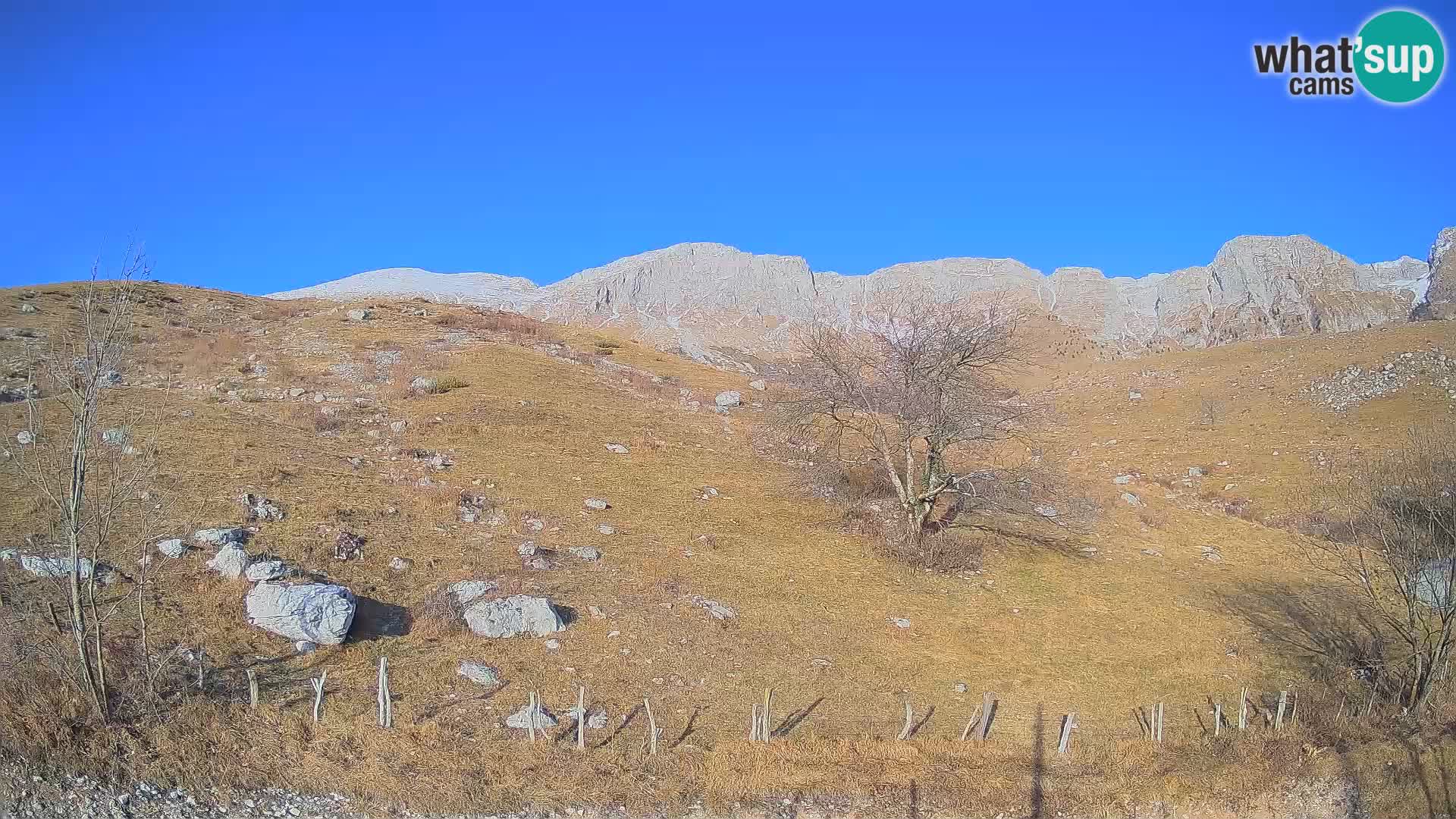 Livecam Planina Kuhinja – KRN- Kobarid – Slovénie