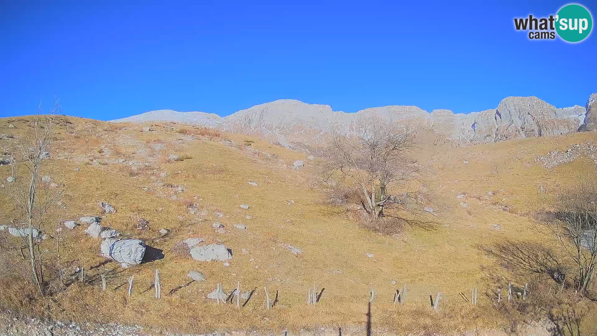 Spletna kamera Planina Kuhinja – KRN – Kobarid