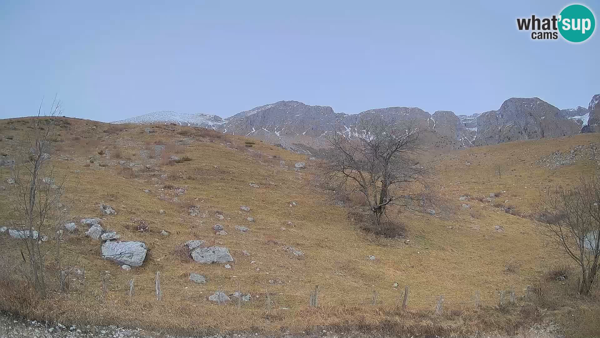 Cámara en Vivo de Planina Kuhinja – KRN – Kobarid – Eslovenia