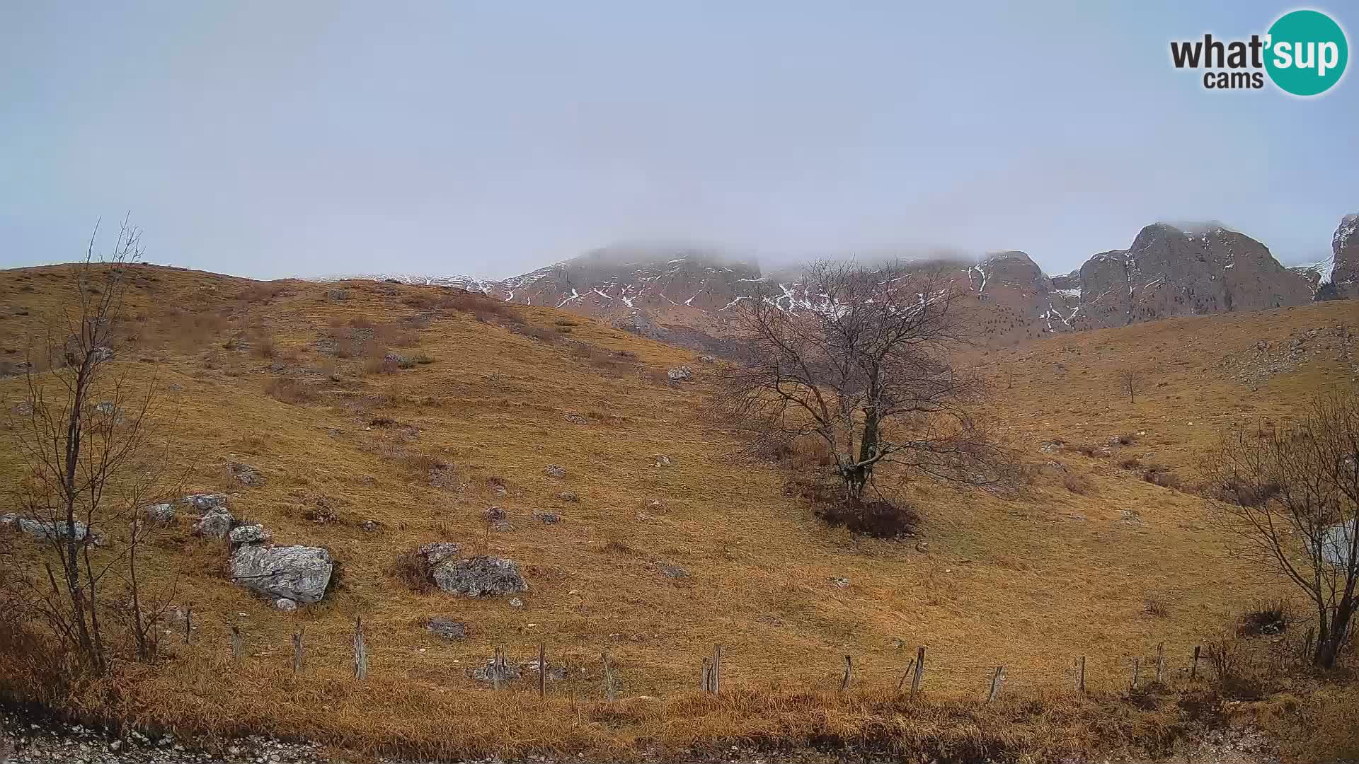Live cam Planina Kuhinja – Monte Nero ( Krn ) – Caporetto – Slovenia